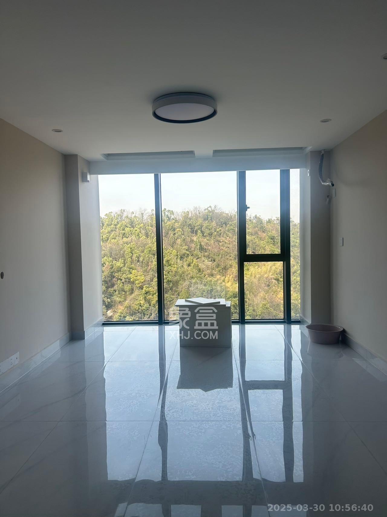 碧桂园荟隽棠 1室2厅1卫 1500.0元/月 碧桂园荟隽棠 1室2厅1卫 1500.0元/月室内图