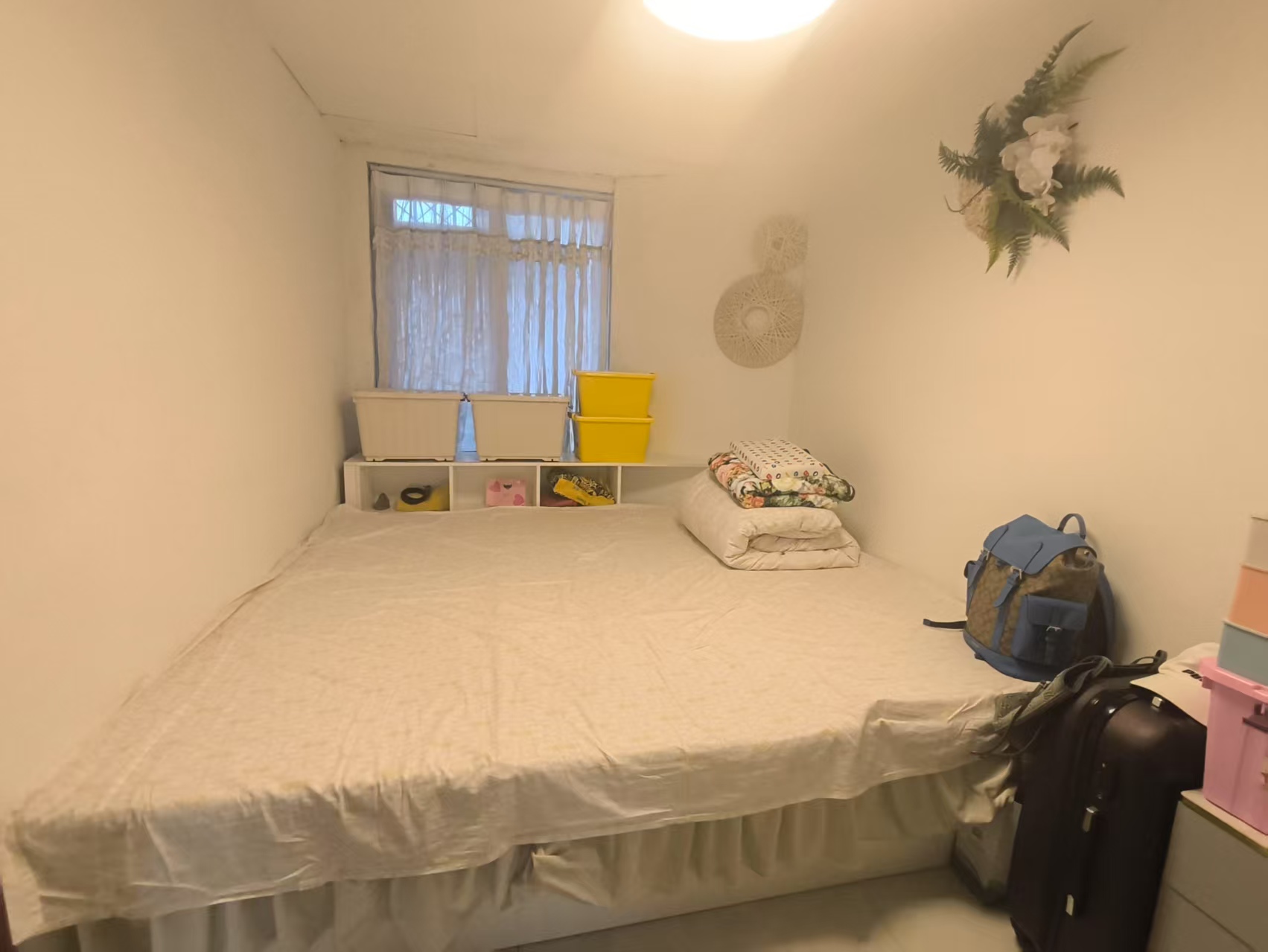 顺兴大厦  1室2厅1卫   55.00万户型图