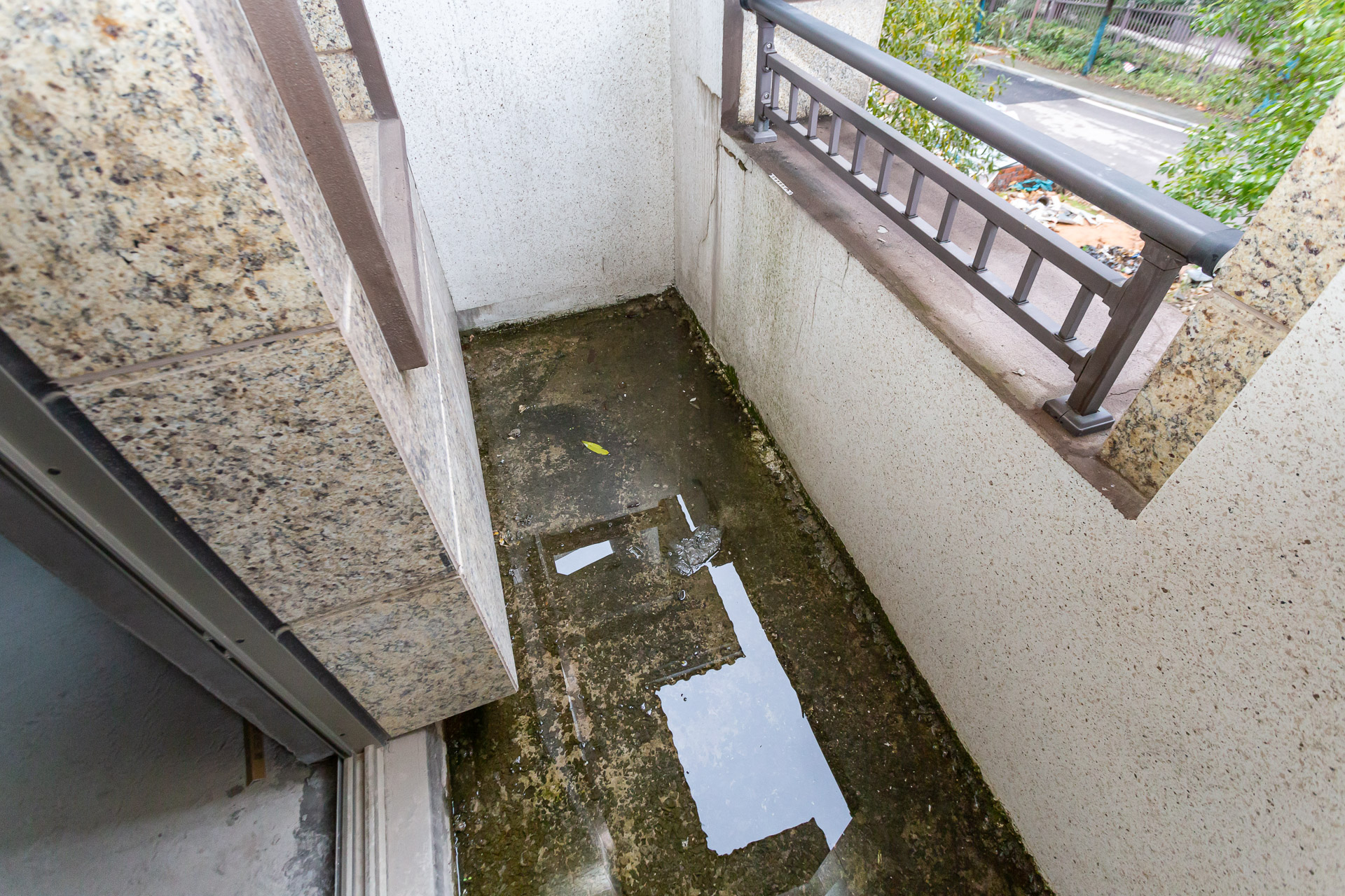 长沙玫瑰园  6室3厅4卫   485.00万阳台