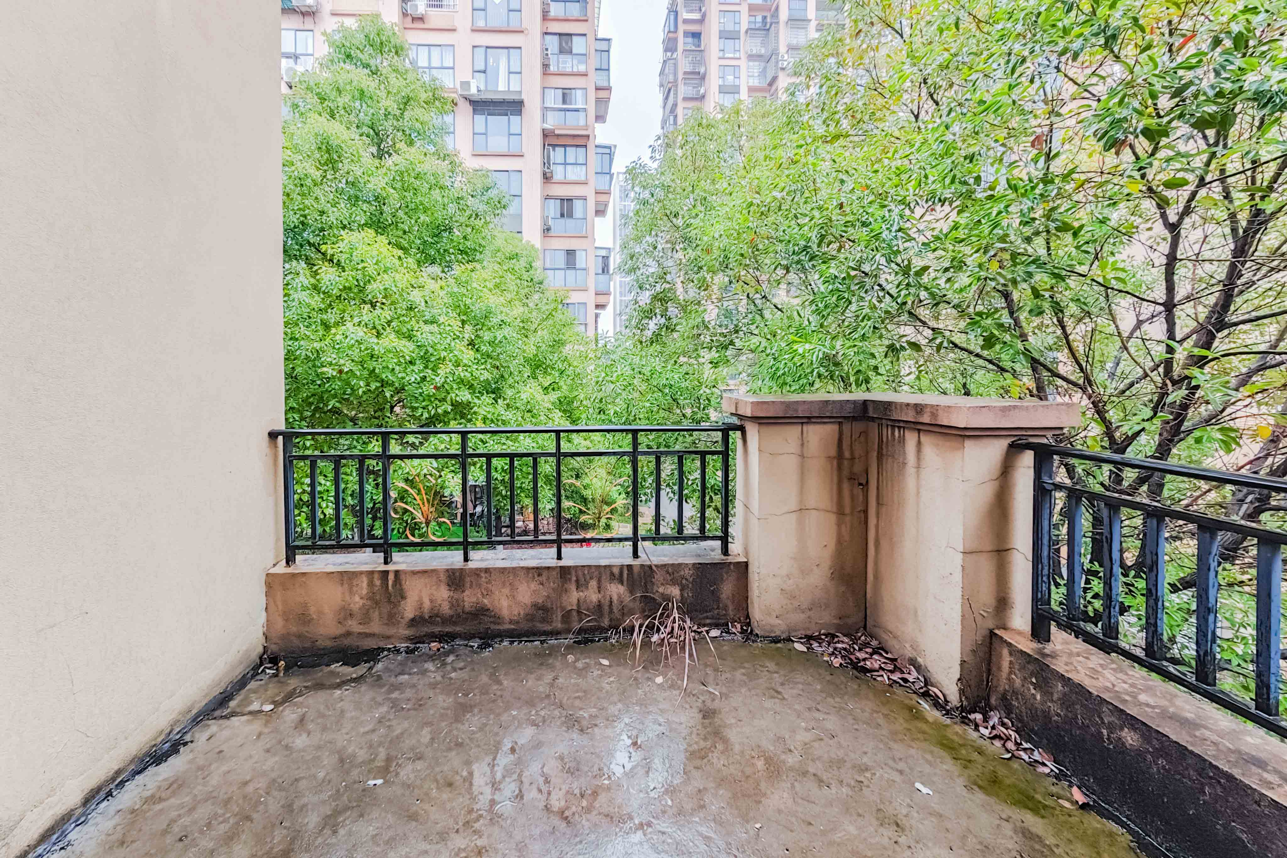 中城丽景香山园  5室2厅3卫   330.00万其他