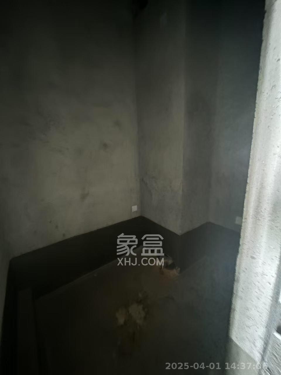 碧桂园翘楚棠  1室1厅1卫   1000.00元/月室内图
