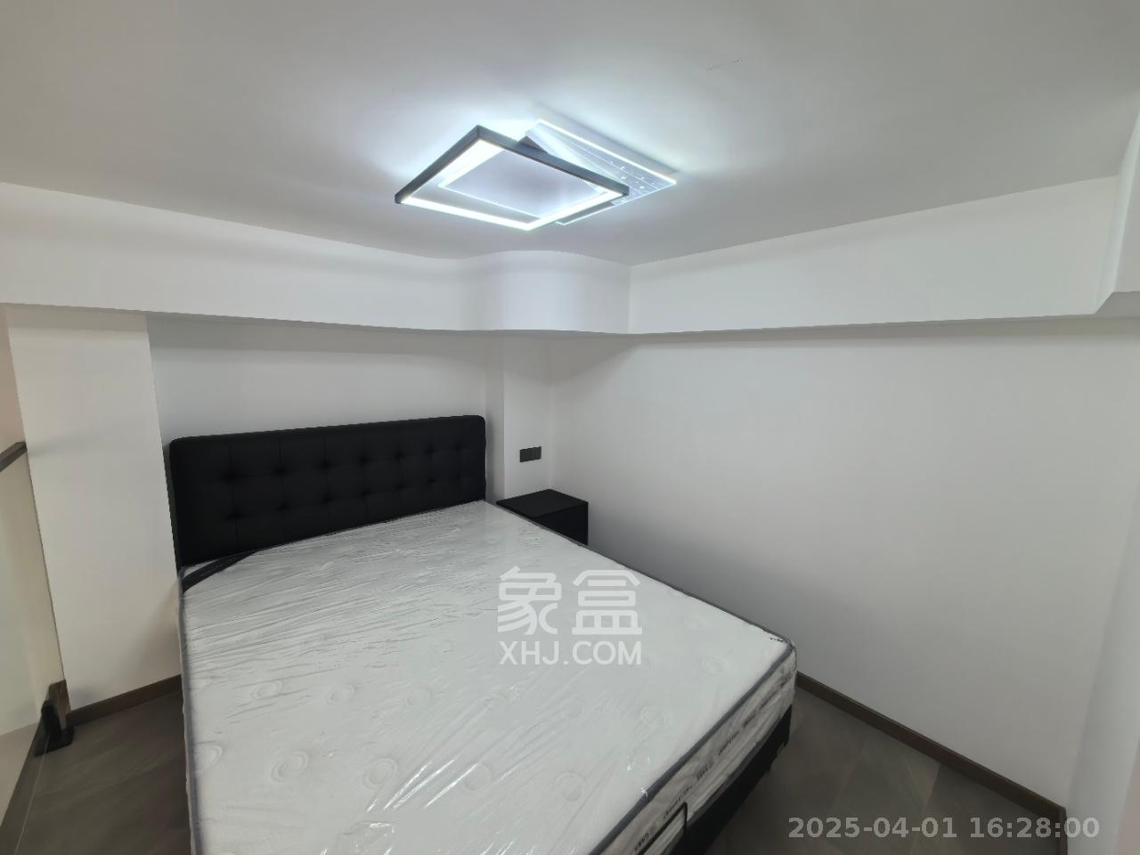 中天星耀荟  1室1厅1卫   2100.00元/月室内图