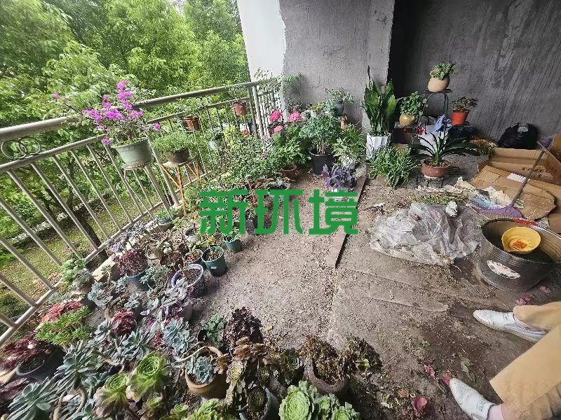 时代港湾  2室2厅1卫   38.00万客厅