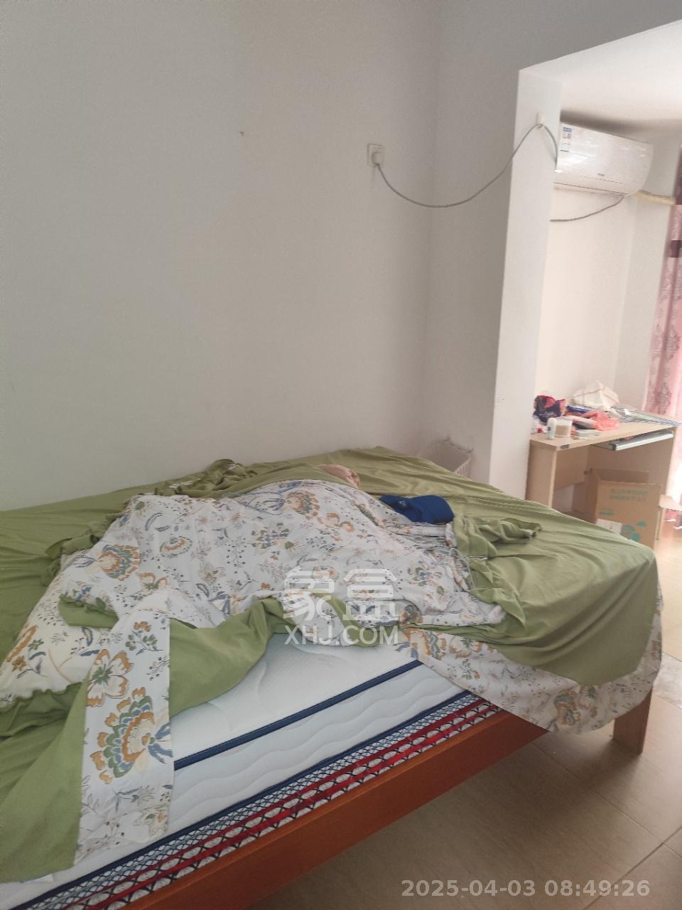 上河国际A座 1室1厅1卫 1300.0元/月 上河国际A座 1室1厅1卫 1300.0元/月室内图