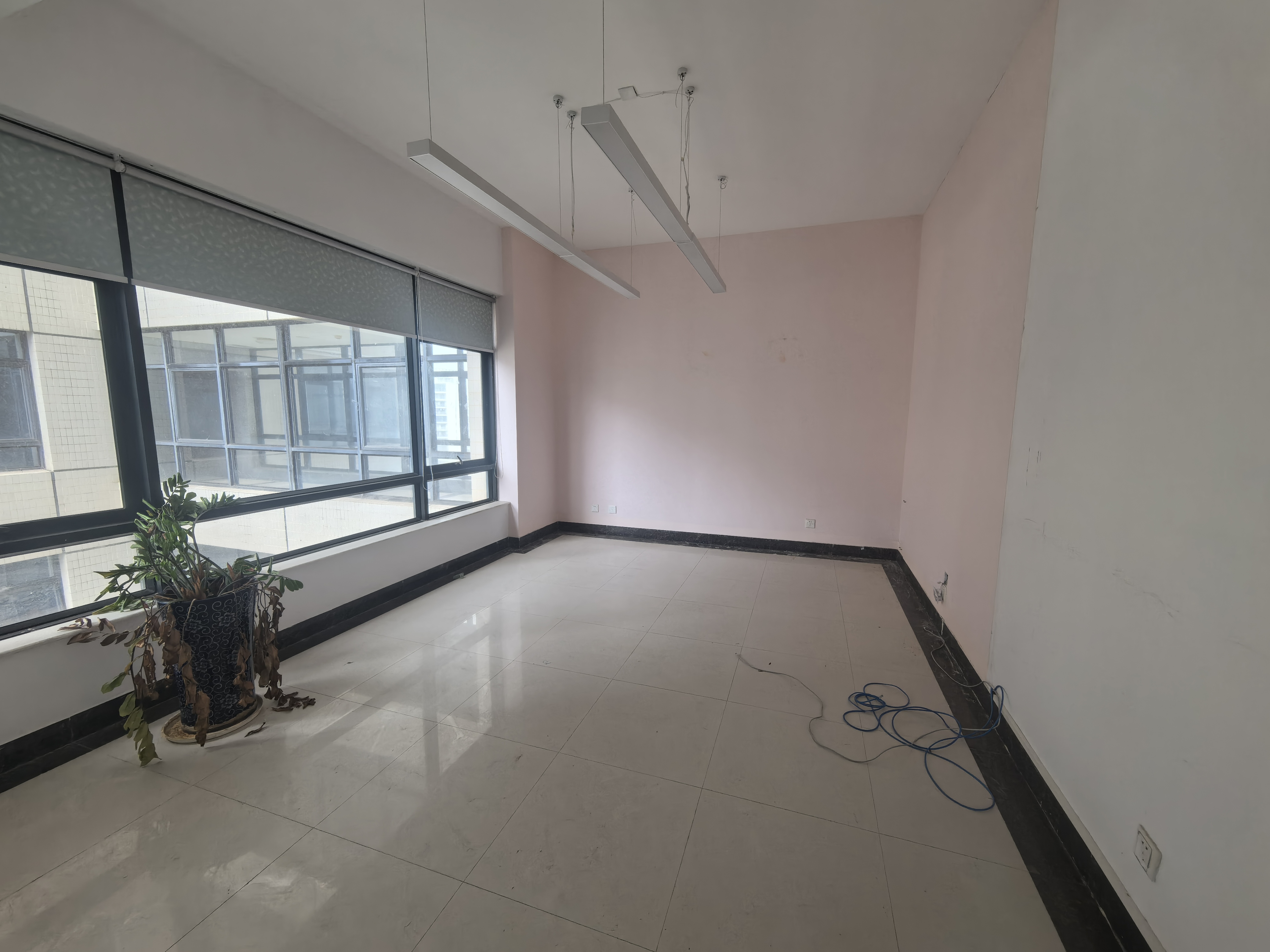 紫荆信息公寓 5室2厅1卫 20000.0元/月 紫荆信息公寓 5室2厅1卫 20000.0元/月室内图