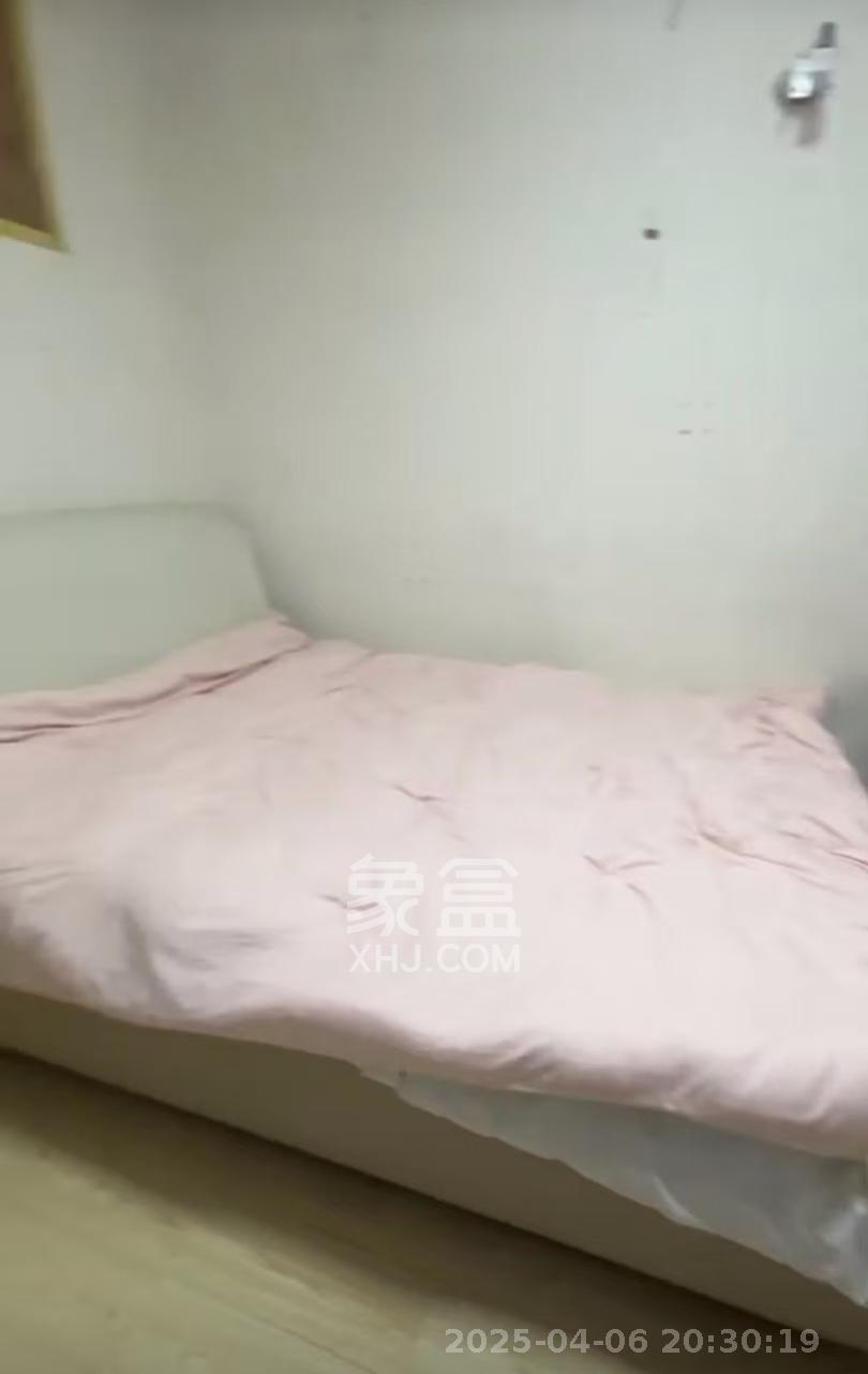 油铺街社区人造板厂宿舍  2室1厅1卫    1300.0元/月 油铺街社区人造板厂宿舍  2室1厅1卫    1300.0元/月室内图