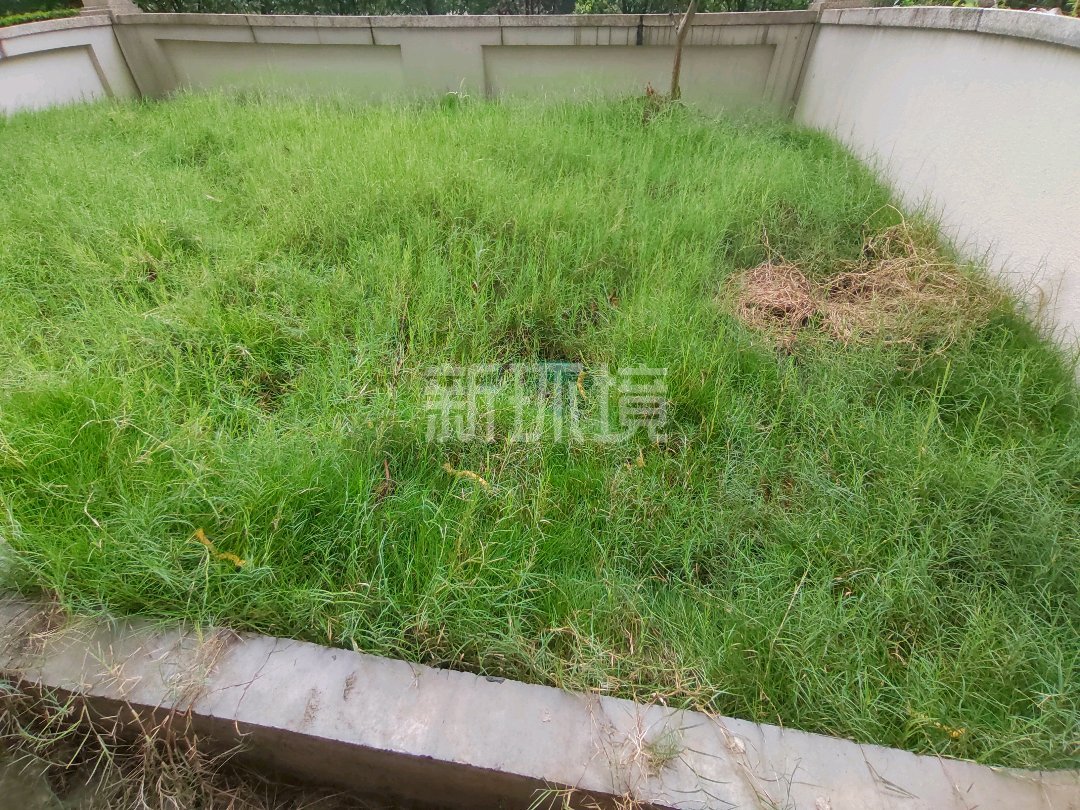 江与城  4室2厅2卫   110.00万其他