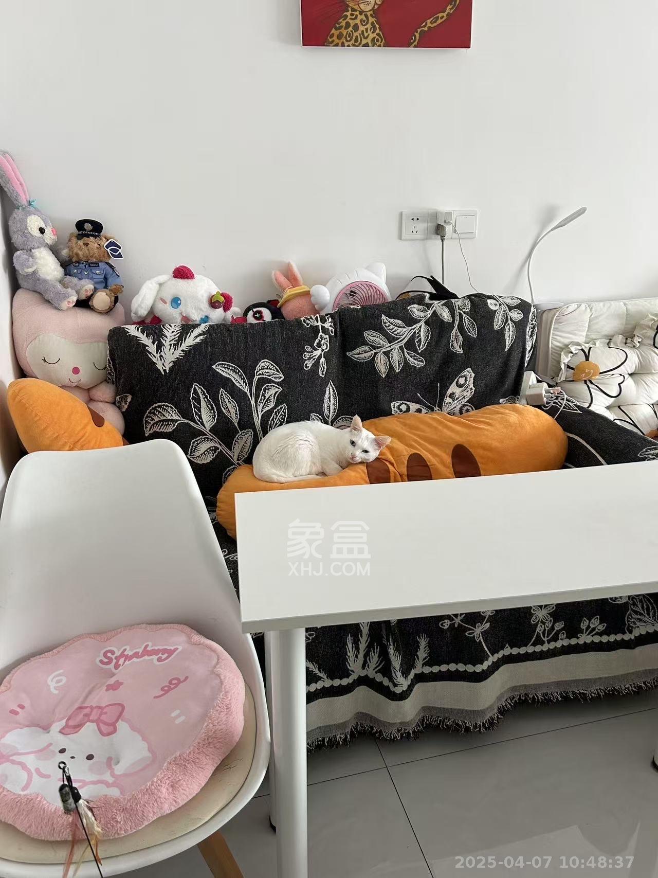 芙蓉万国城MOMA（卓越汇富苑）  1室0厅0卫   1300.00元/月
