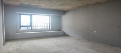 建发央著（悦发央著）  4室2厅2卫    100.0万