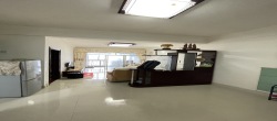 珠江大厦  2室1厅1卫   2500.00元/月