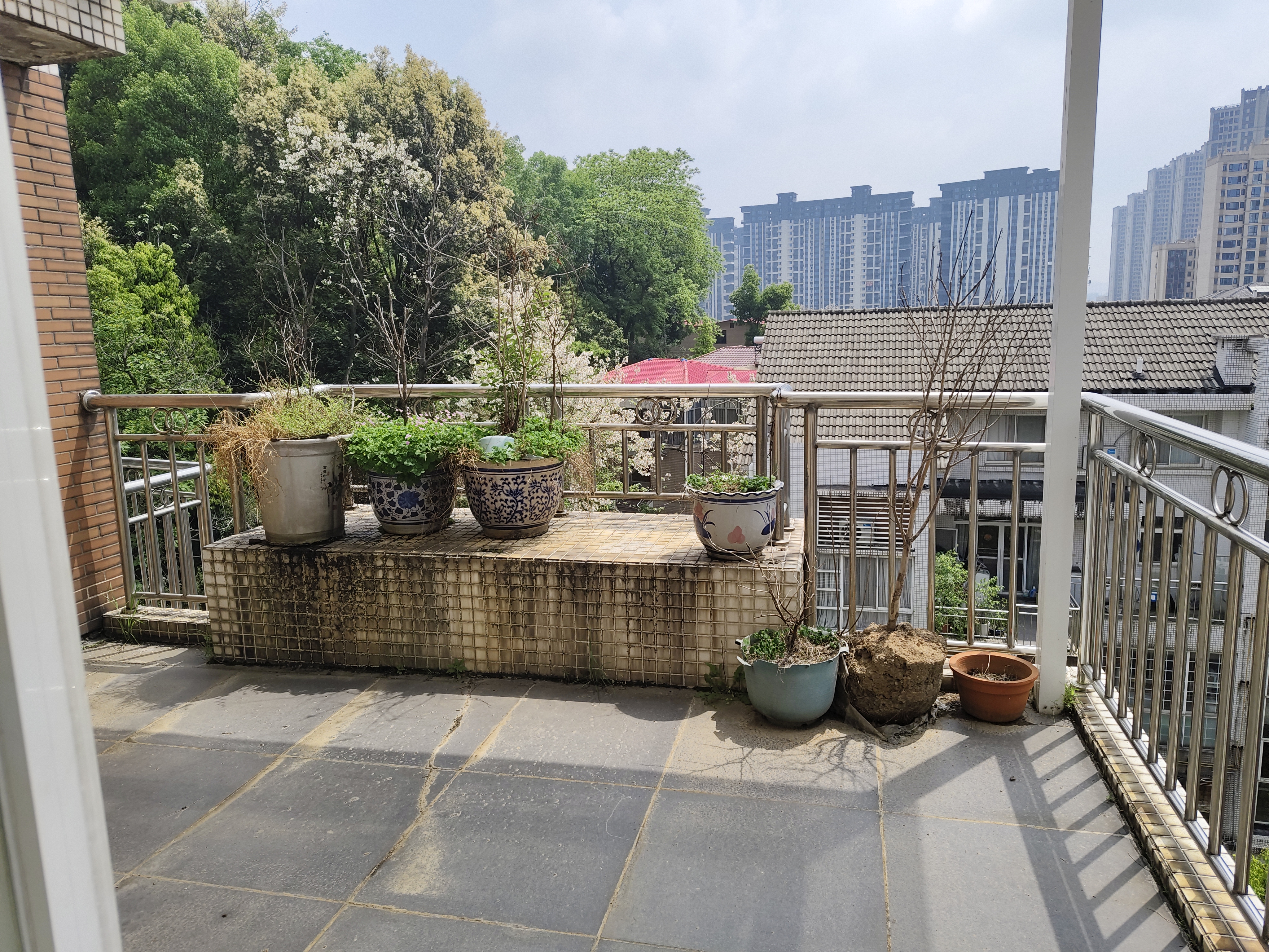 丽景雅苑  5室2厅3卫   125.00万客厅