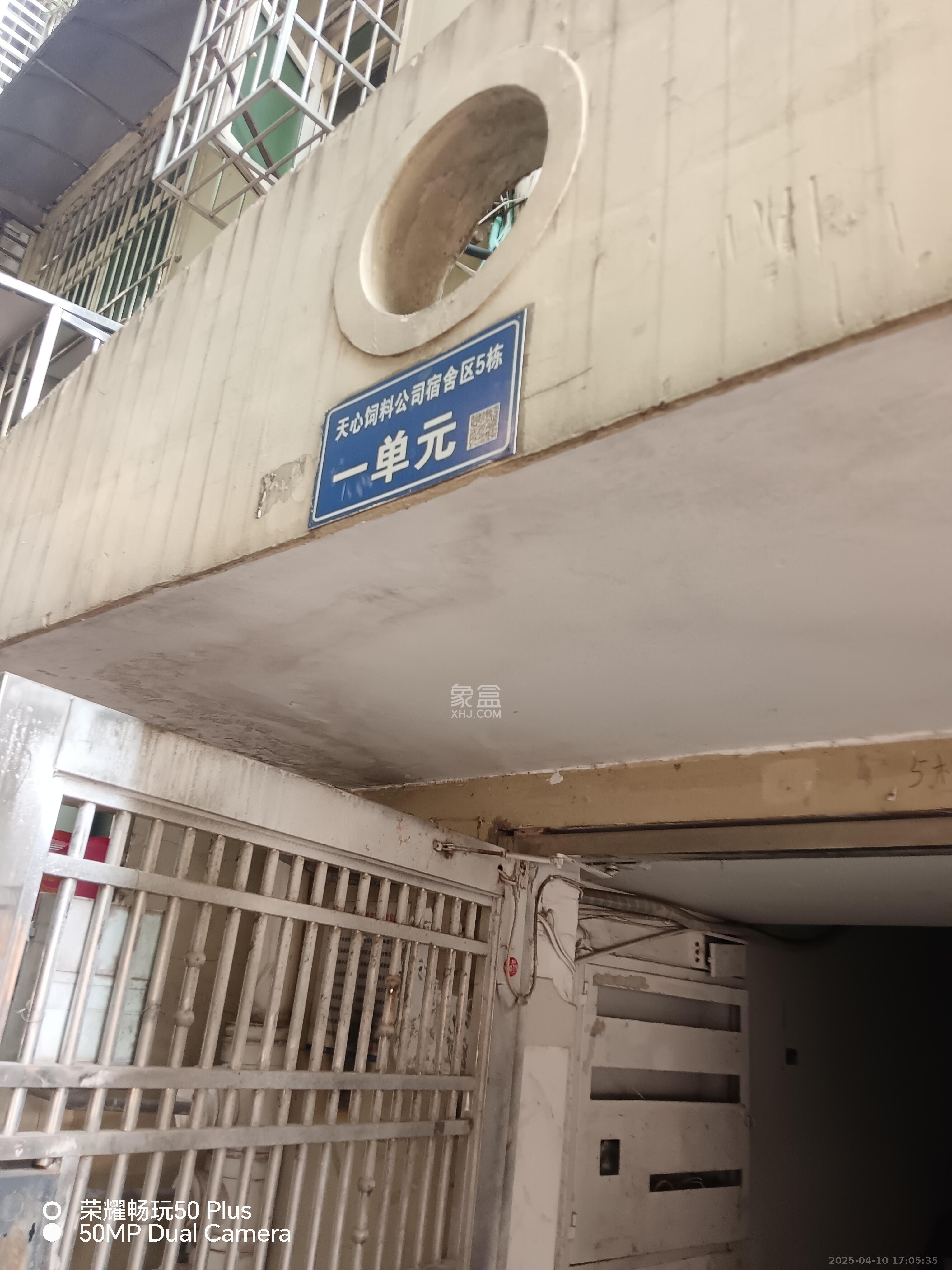 天心物业  3室1厅1卫    1600.0元/月室内图