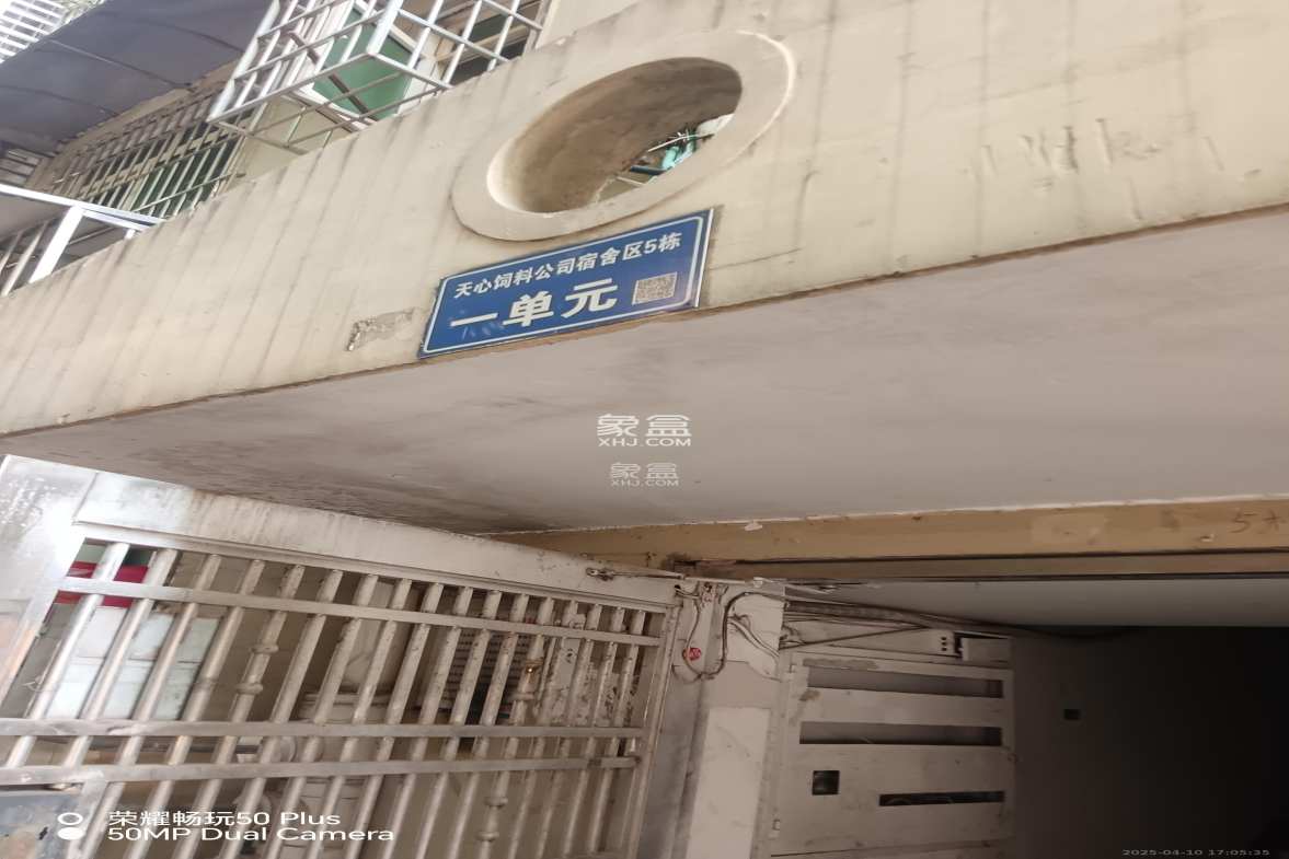 天心物业 3室1厅1卫 1600.0元/月 天心物业 3室1厅1卫 1600.0元/月室内图