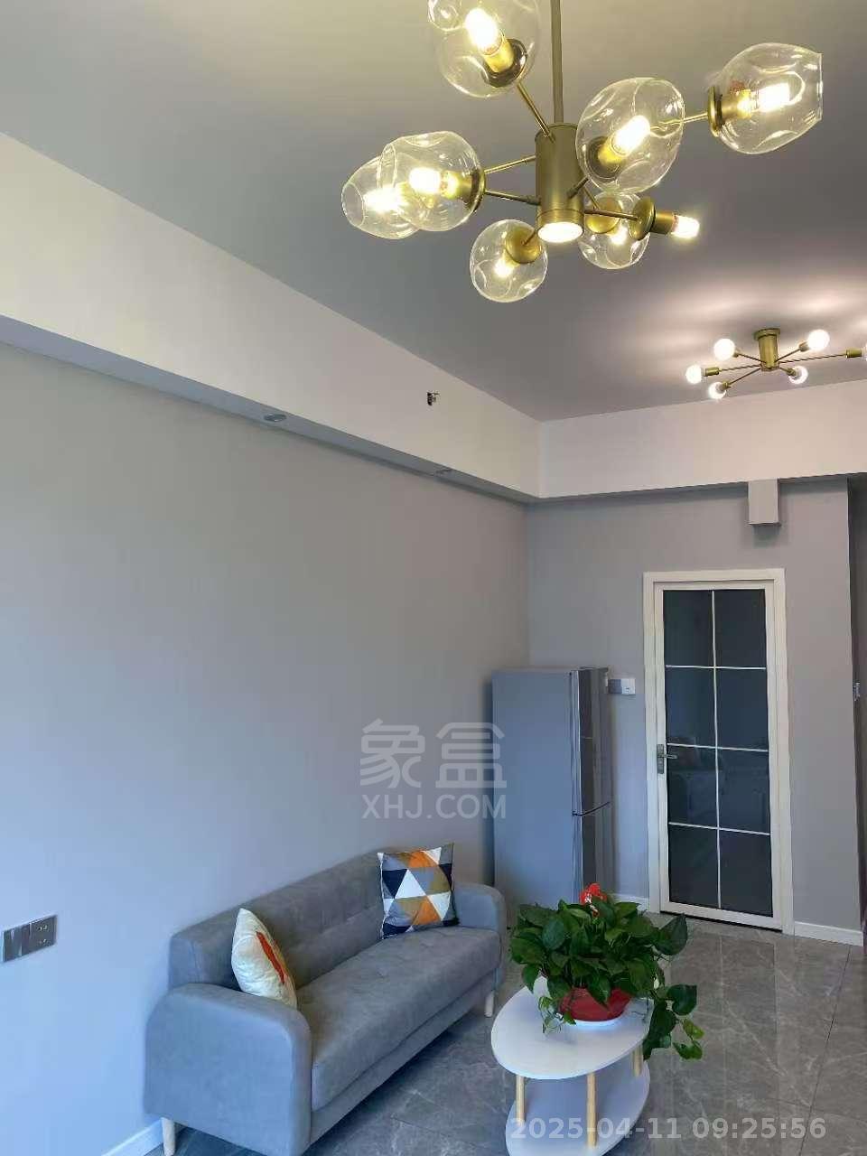 汇金财智天下 1室1厅1卫 1400.0元/月 汇金财智天下 1室1厅1卫 1400.0元/月室内图