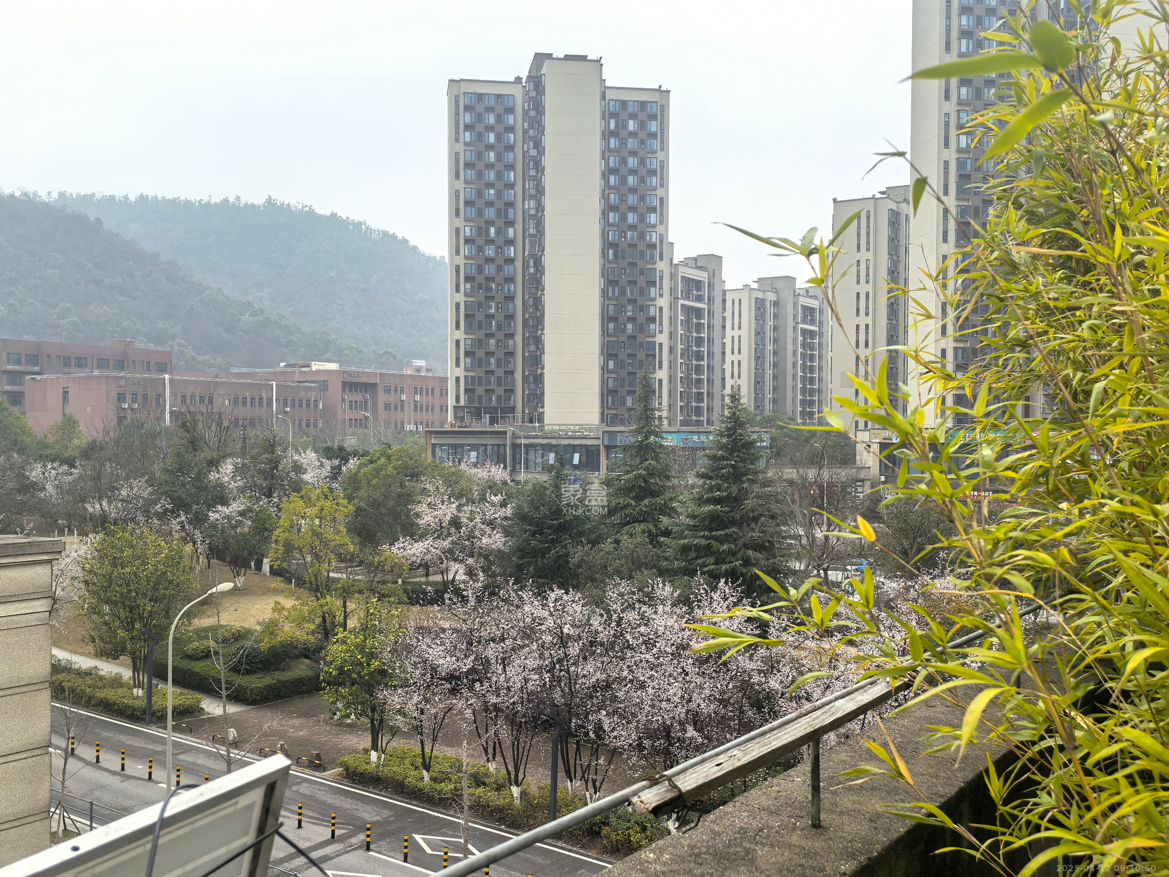 君康家园（梅溪湖七喜街）   700.0㎡     45000.00元/月室内图