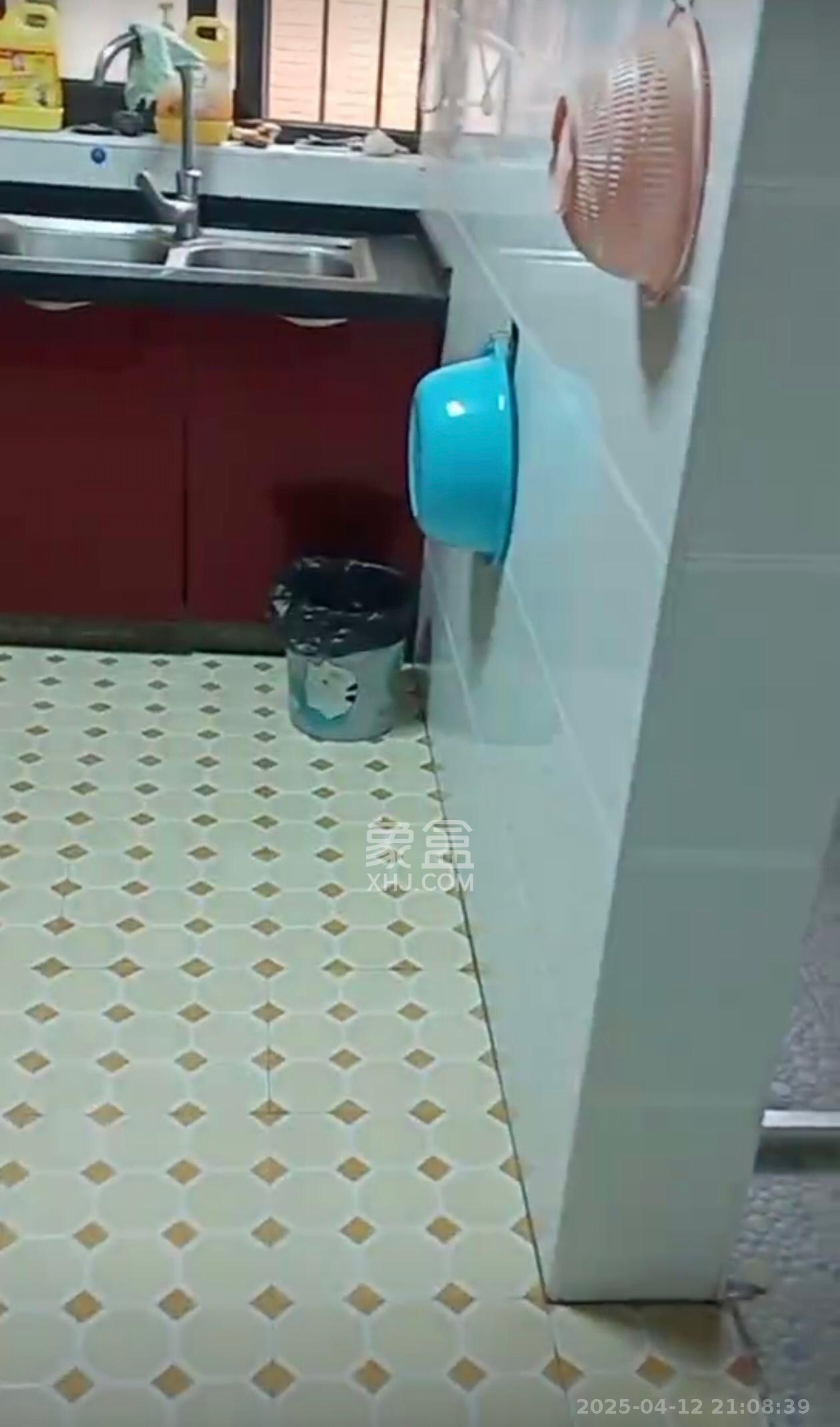 华龙家园(和泰家园) 1室1厅1卫 1000.0元/月 华龙家园(和泰家园) 1室1厅1卫 1000.0元/月室内图