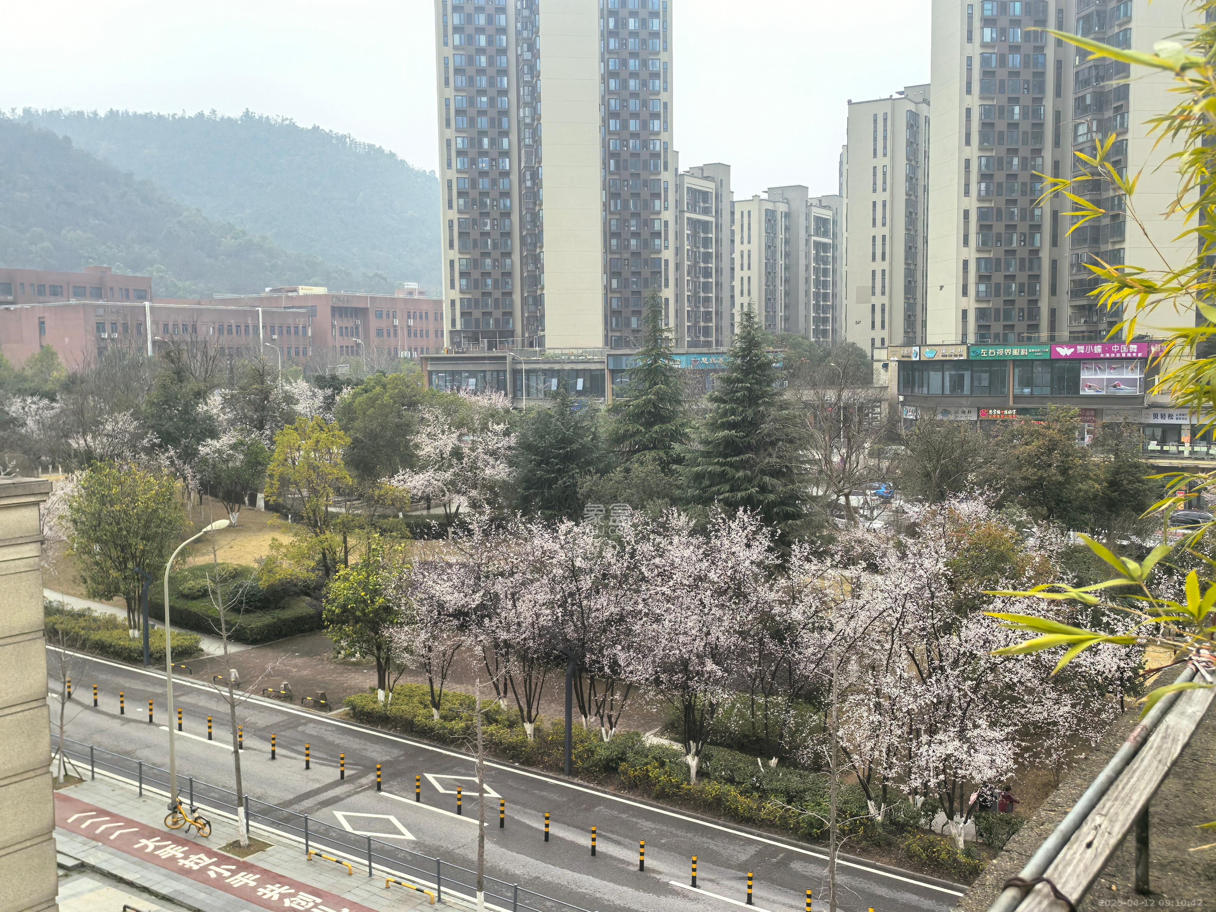 君康家园（梅溪湖七喜街）   700.0㎡     45000.00元/月室内图