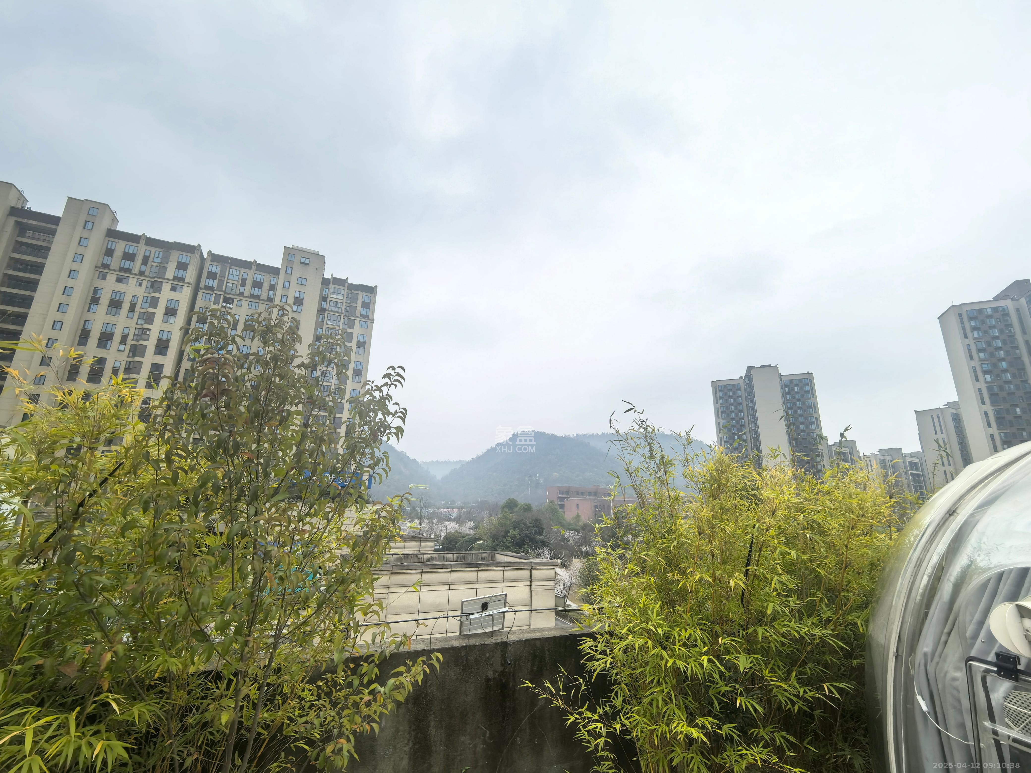 君康家园（梅溪湖七喜街）   700.0㎡     45000.00元/月室内图