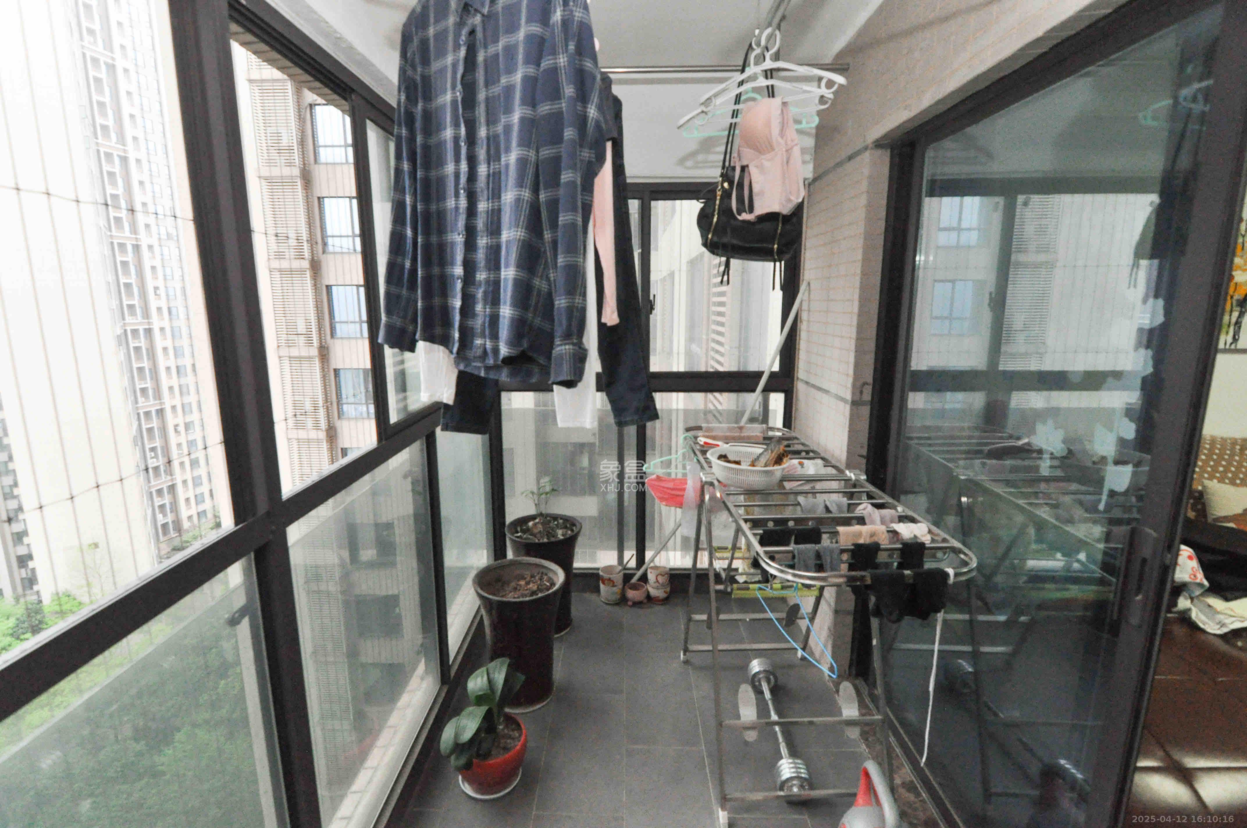 达美D6区  4室2厅2卫   4500.00元/月室内图
