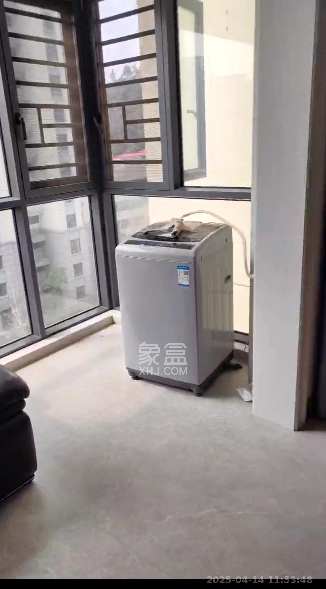 长丰小区  1室0厅0卫    1500.0元/月