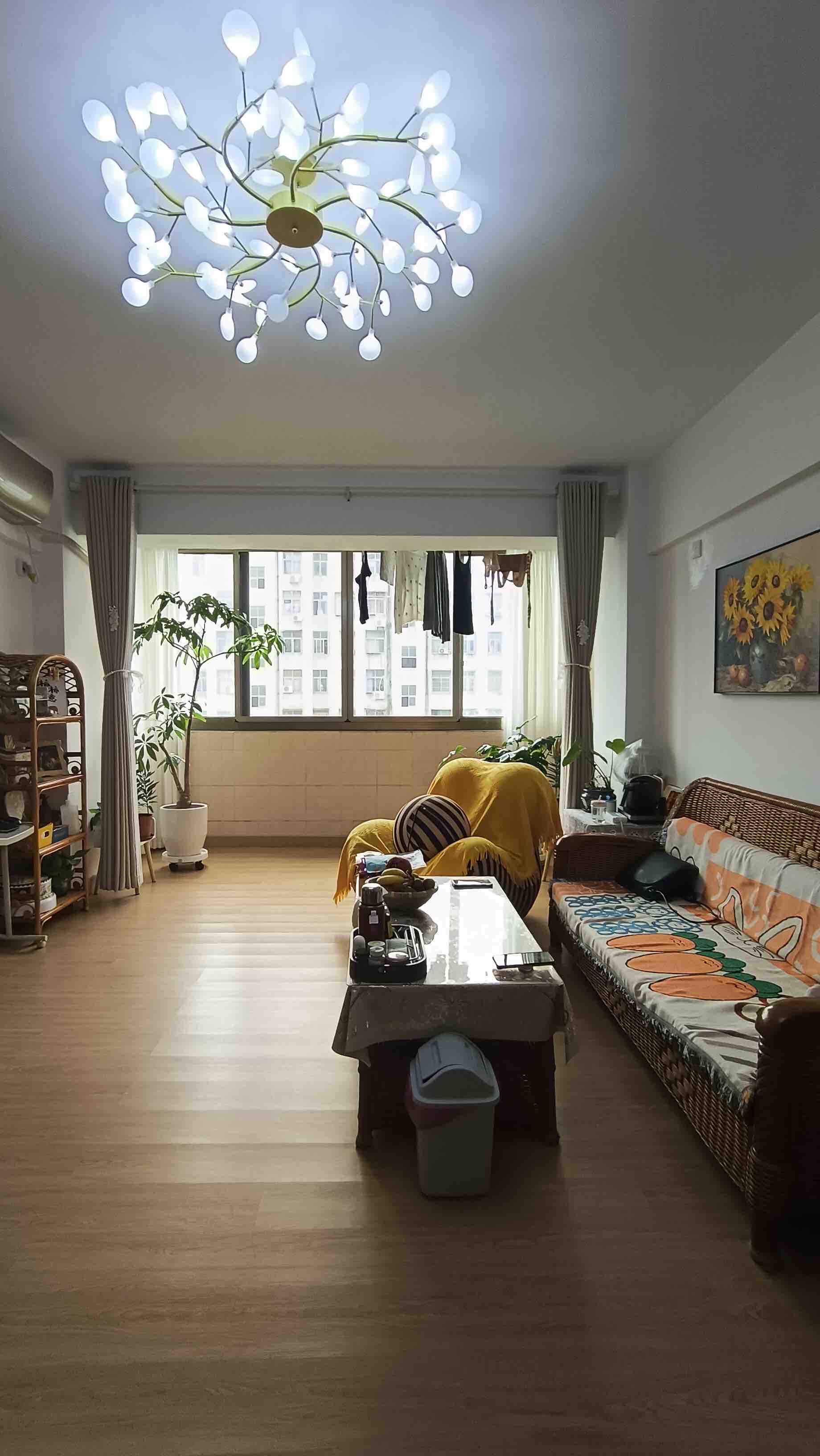 万恒城市花园 2室1厅1卫 116.0万 万恒城市花园 2室1厅1卫 116.0万客厅