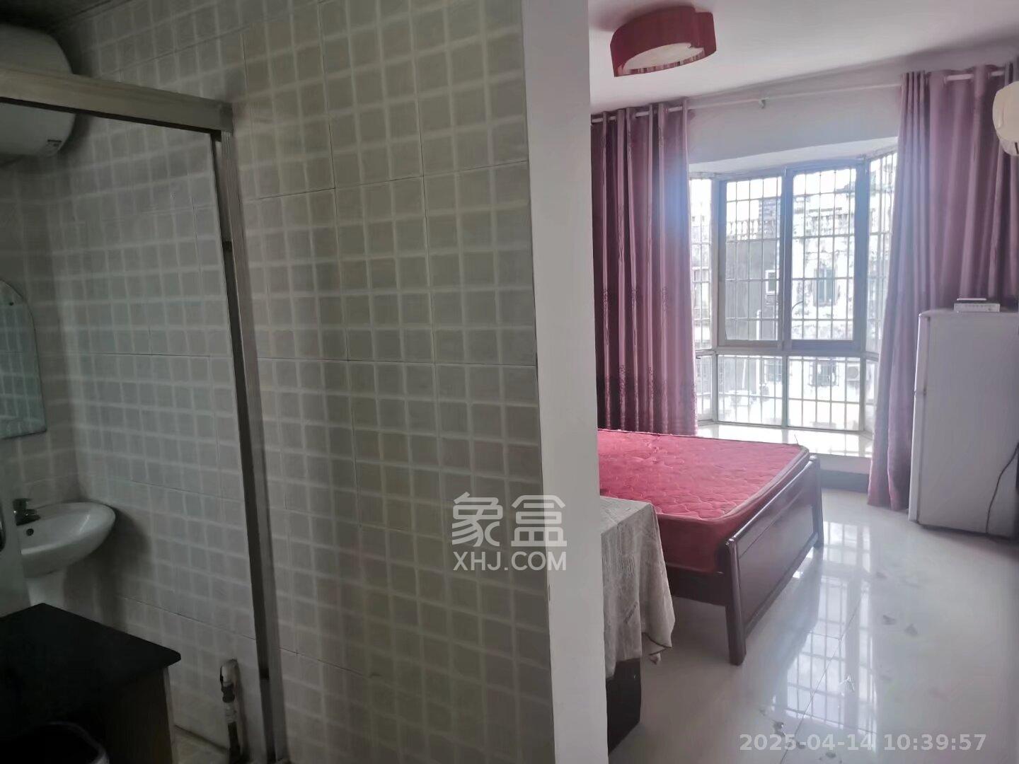 柏丽广场 1室1厅1卫 650.0元/月 柏丽广场 1室1厅1卫 650.0元/月室内图