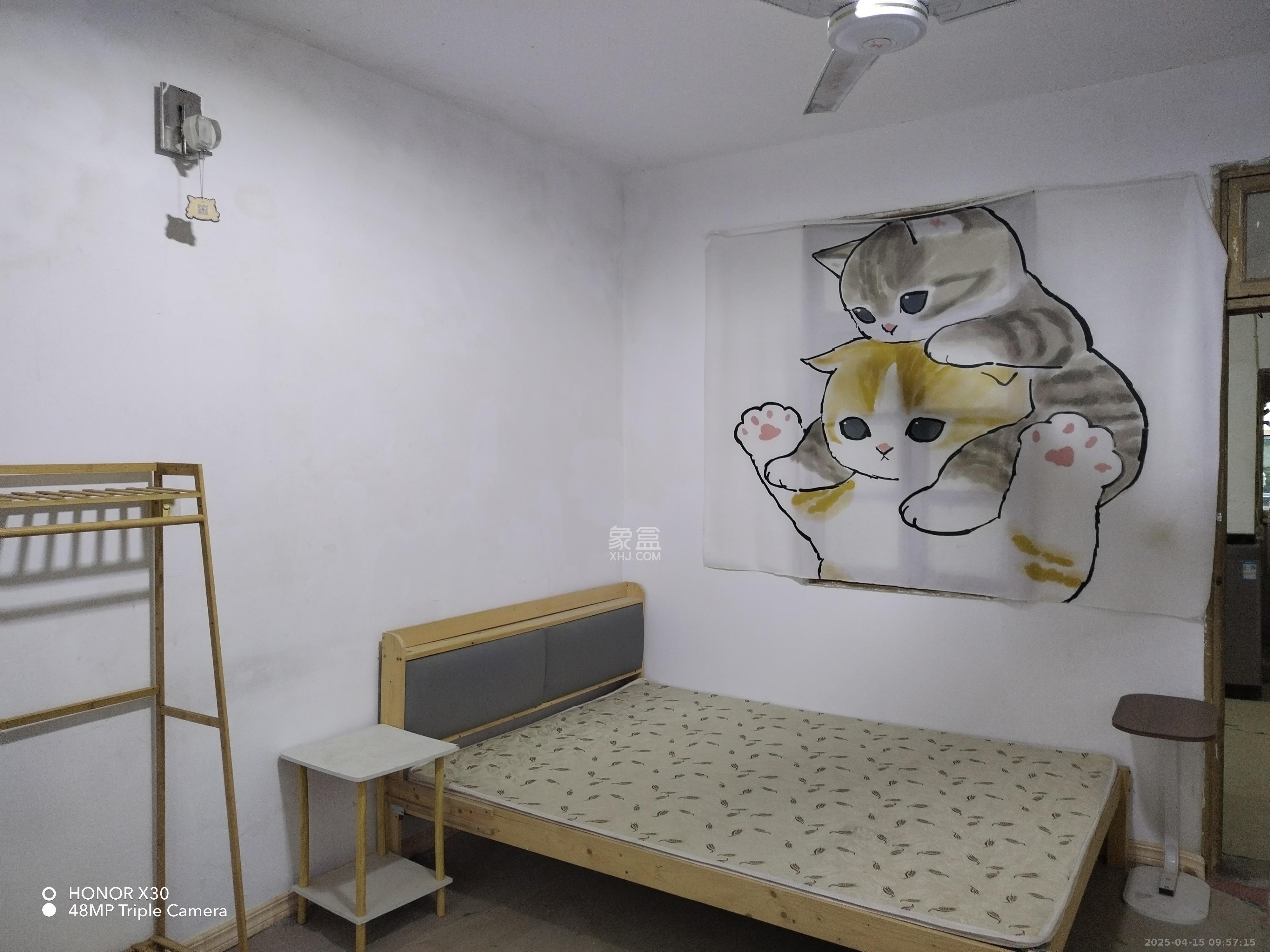 北桥新村 1室0厅1卫 800.0元/月 北桥新村 1室0厅1卫 800.0元/月室内图