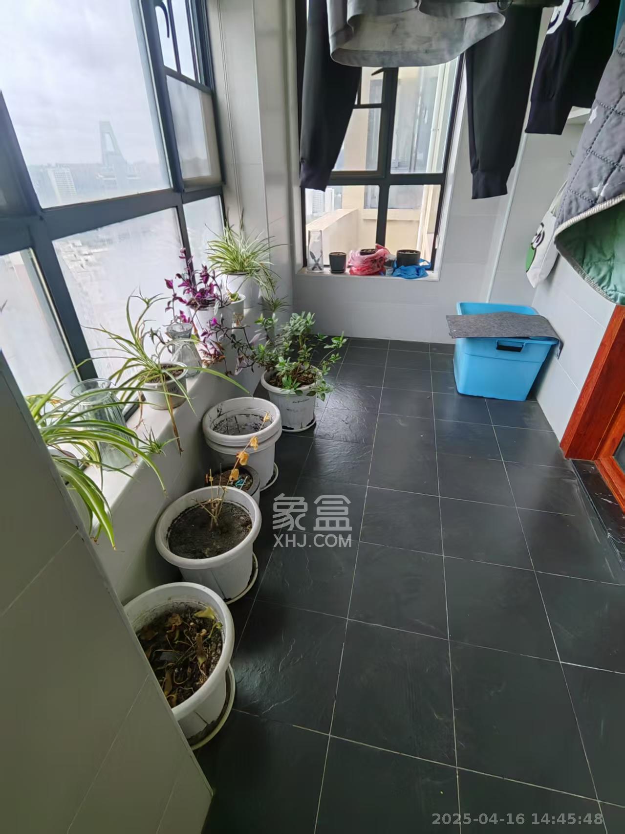 兰亭都荟（璟峰苑）  3室2厅1卫   2800.00元/月室内图