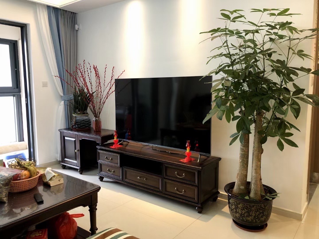 海南金地自在城 2室2厅1卫 110.0万 海南金地自在城 2室2厅1卫 110.0万客厅