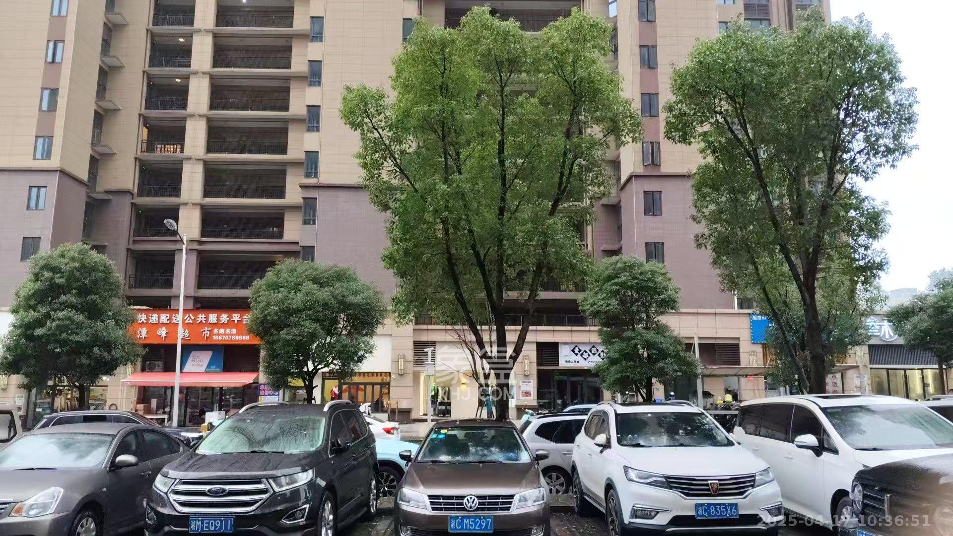 碧桂园潭州府  1室1厅0卫   2680.00元/月室内图1
