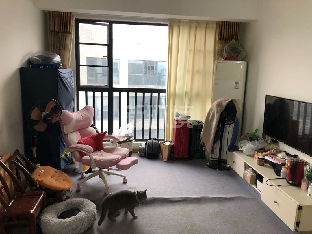 逸臣中央  2室2厅1卫   55.00万客厅