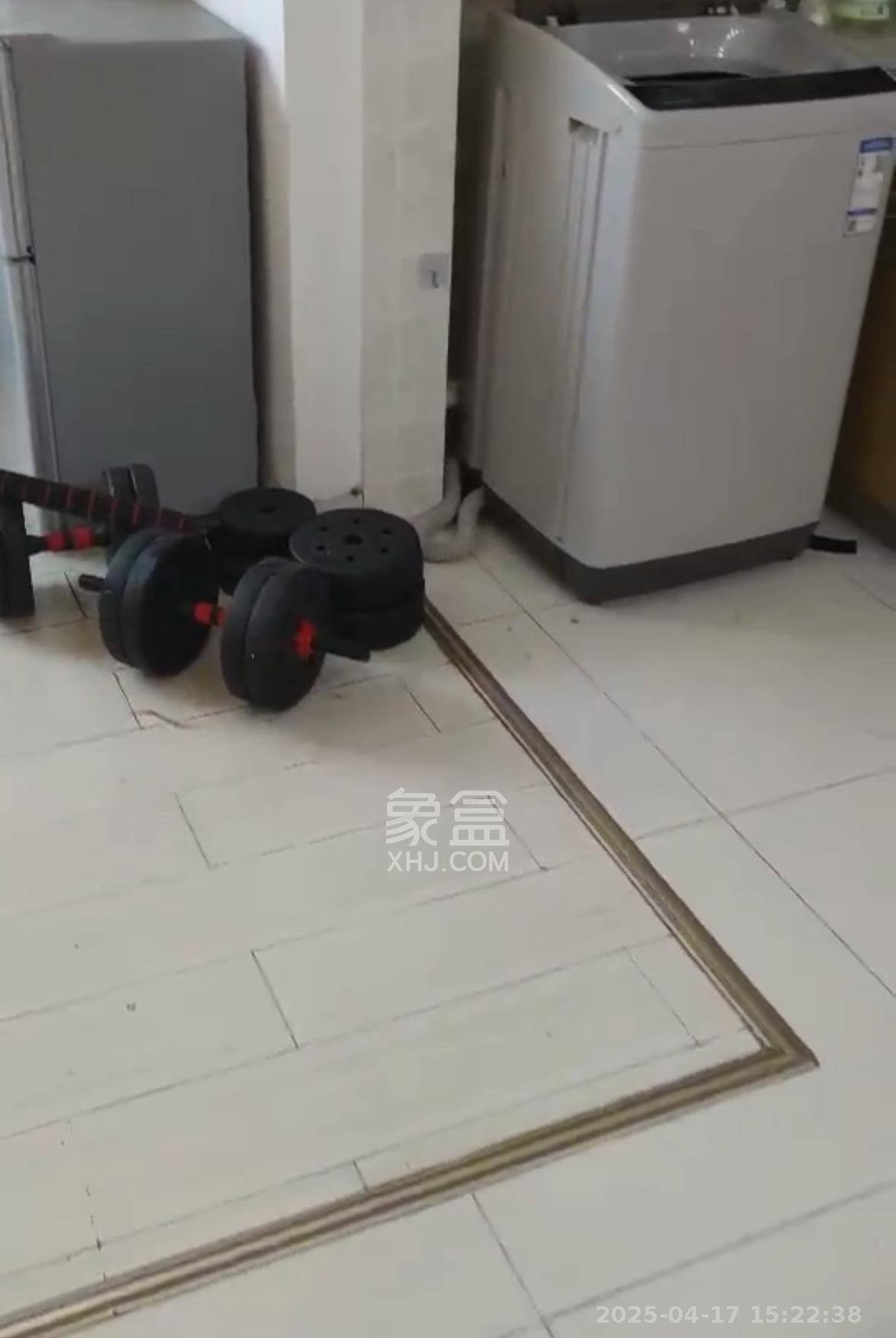 印象天心  2室1厅1卫   2400.00元/月室内图