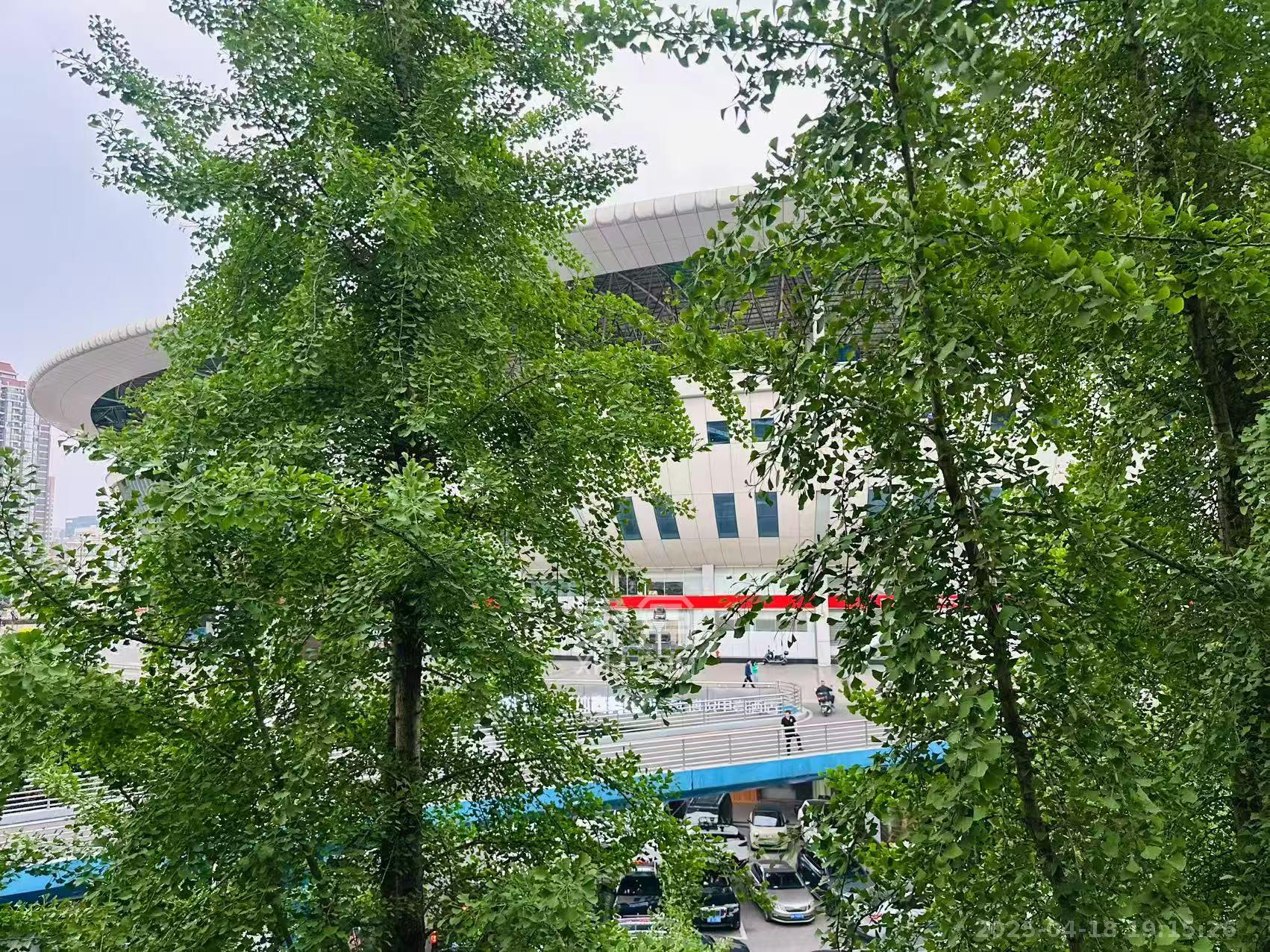 红龙庙小区  3室1厅1卫   2500.00元/月室内图