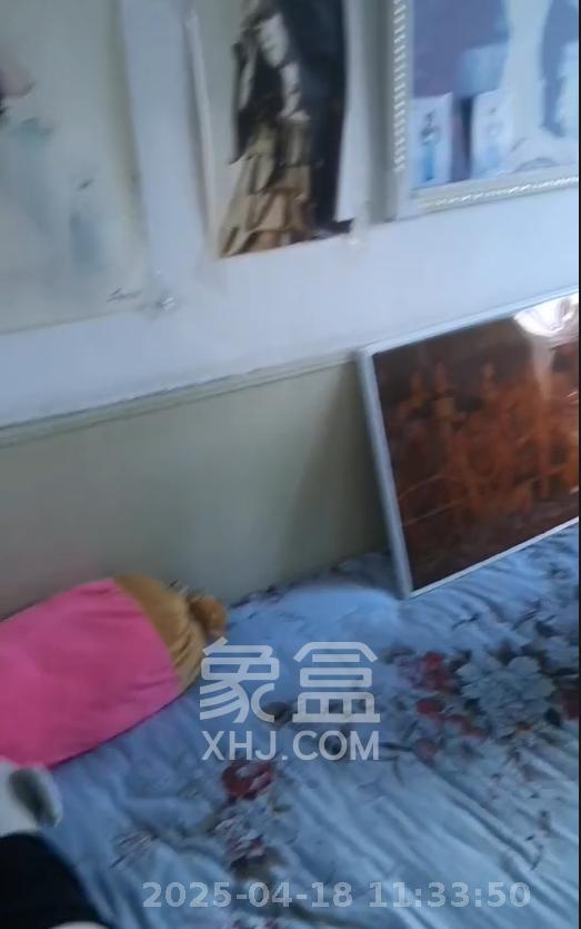 湘钢泗神庙小区  2室1厅1卫    500.0元/月室内图