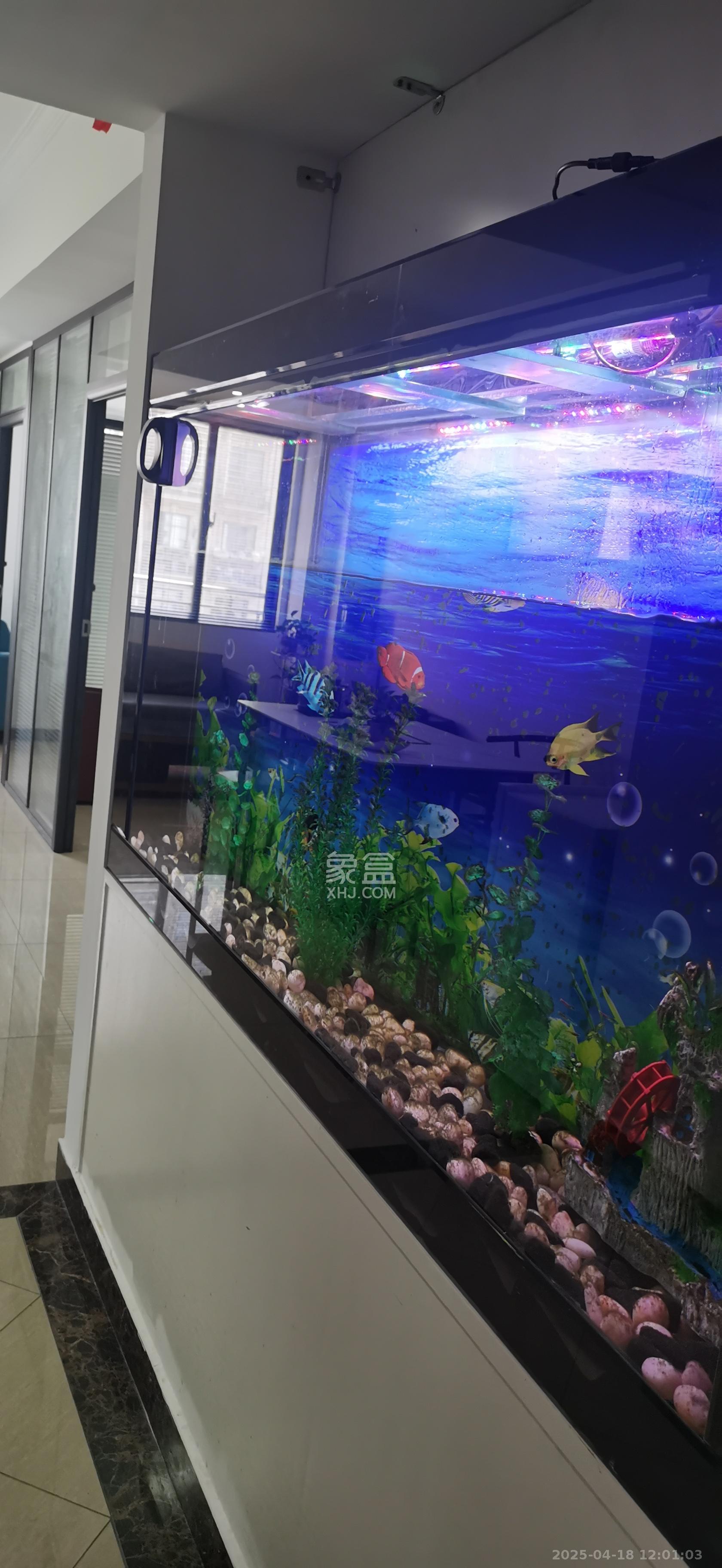 阳光锦城  1室1厅1卫   1750.00元/月室内图