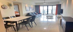 仁恒海棠公园  3室2厅2卫    309.8万