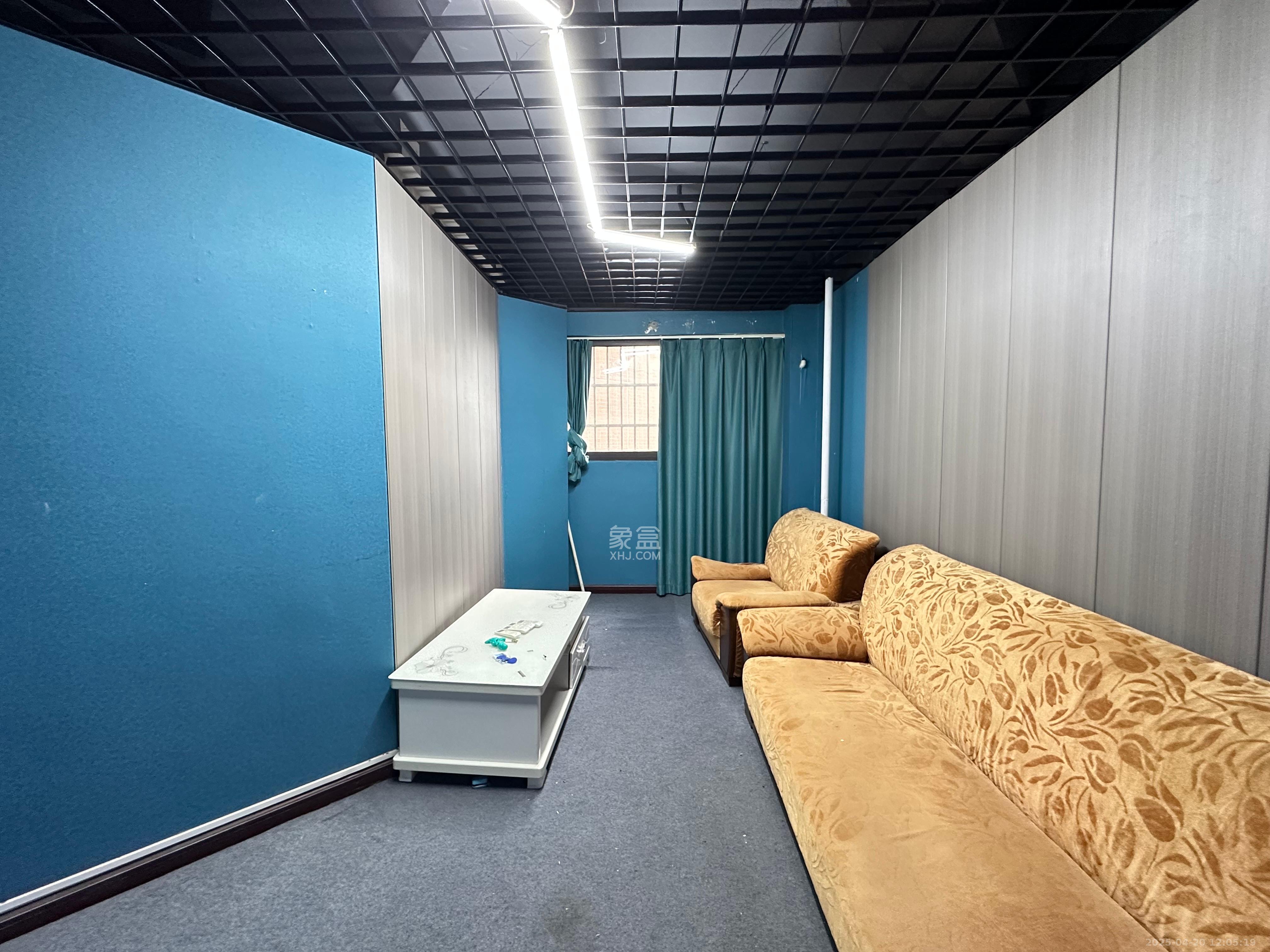 达美D6区  4室2厅2卫   3500.00元/月室内图