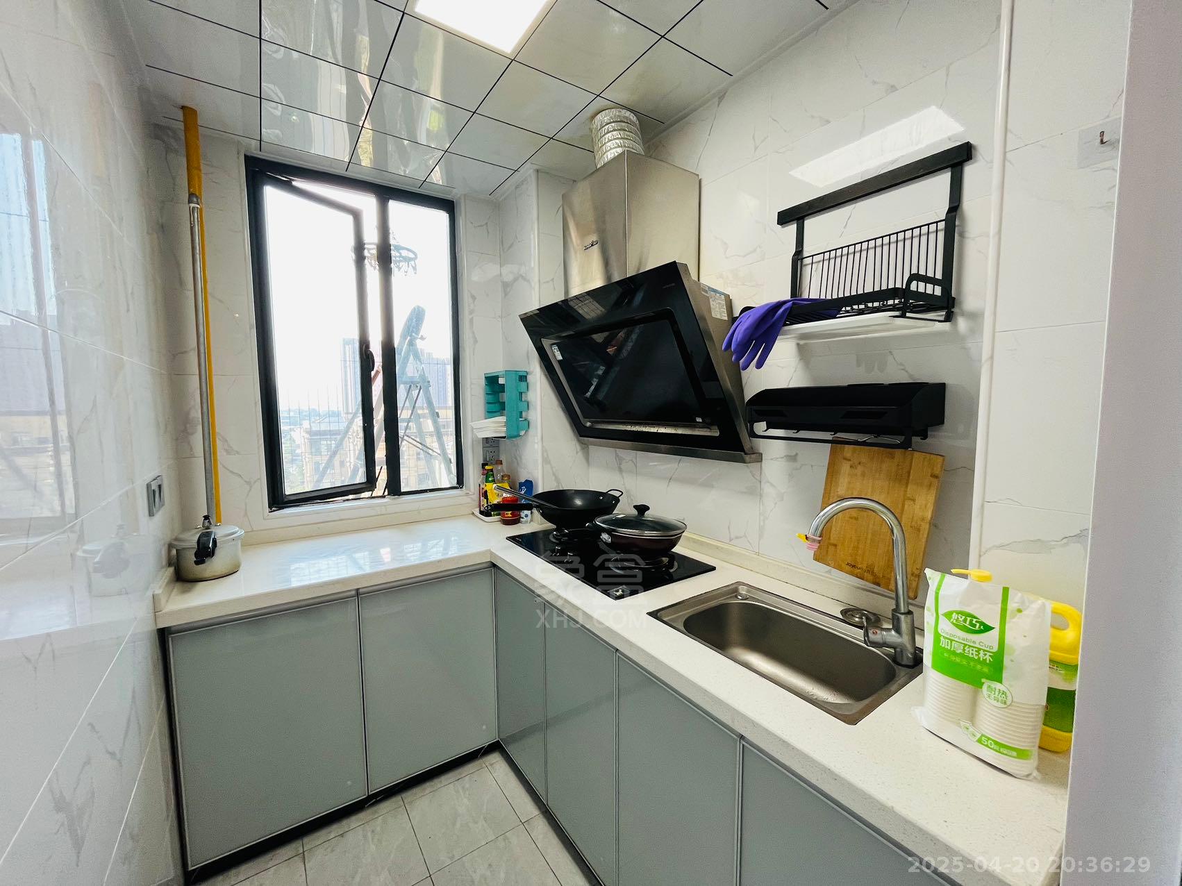 白金汉宫 1室1厅1卫 1600.0元/月 白金汉宫 1室1厅1卫 1600.0元/月室内图