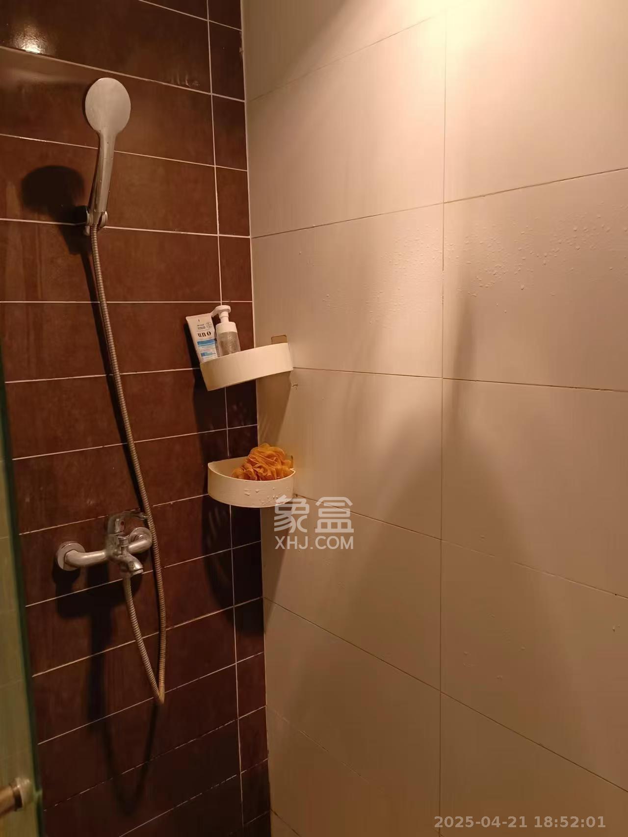 江山帝景哈佛  1室1厅1卫   1280.00元/月室内图
