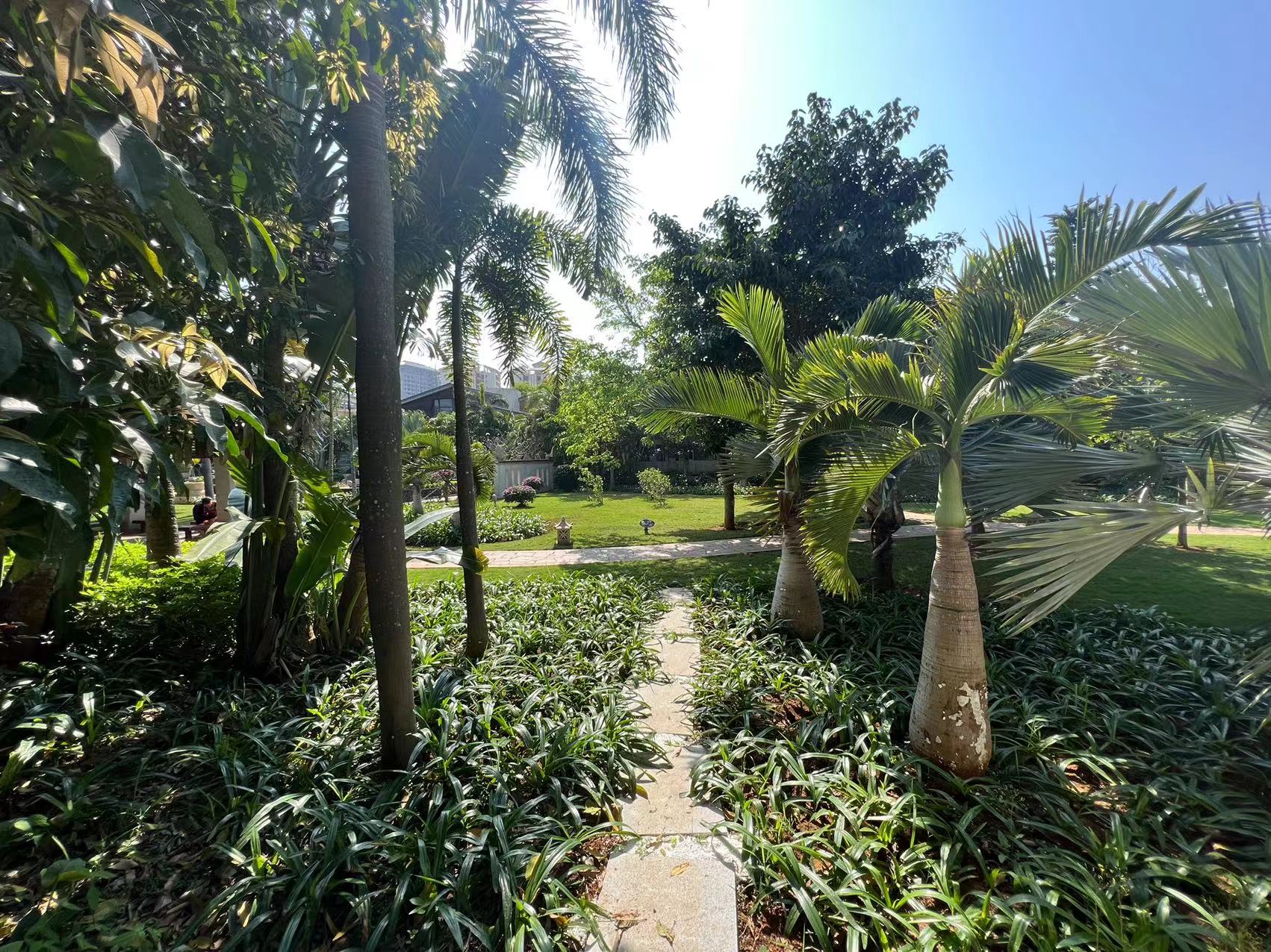 万科浪琴湾 6室2厅3卫 1469.0万 万科浪琴湾 6室2厅3卫 1469.0万室内图