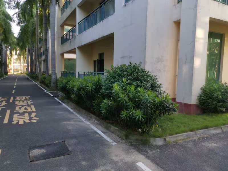 椰风海韵花苑  4室2厅3卫   6500.00元/月室内图