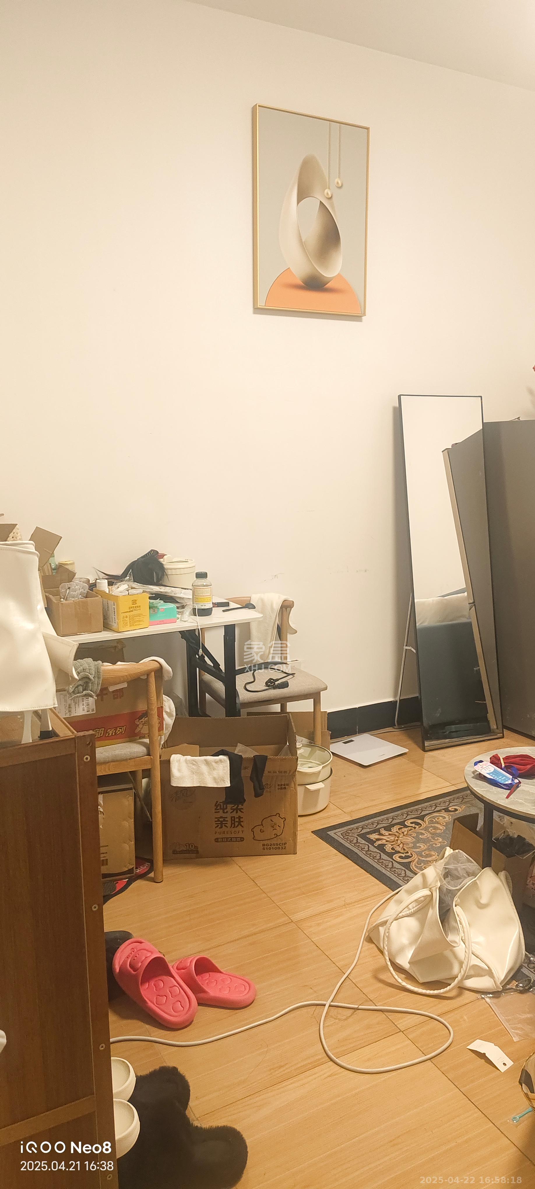 芙蓉同发  1室1厅1卫   2000.00元/月室内图