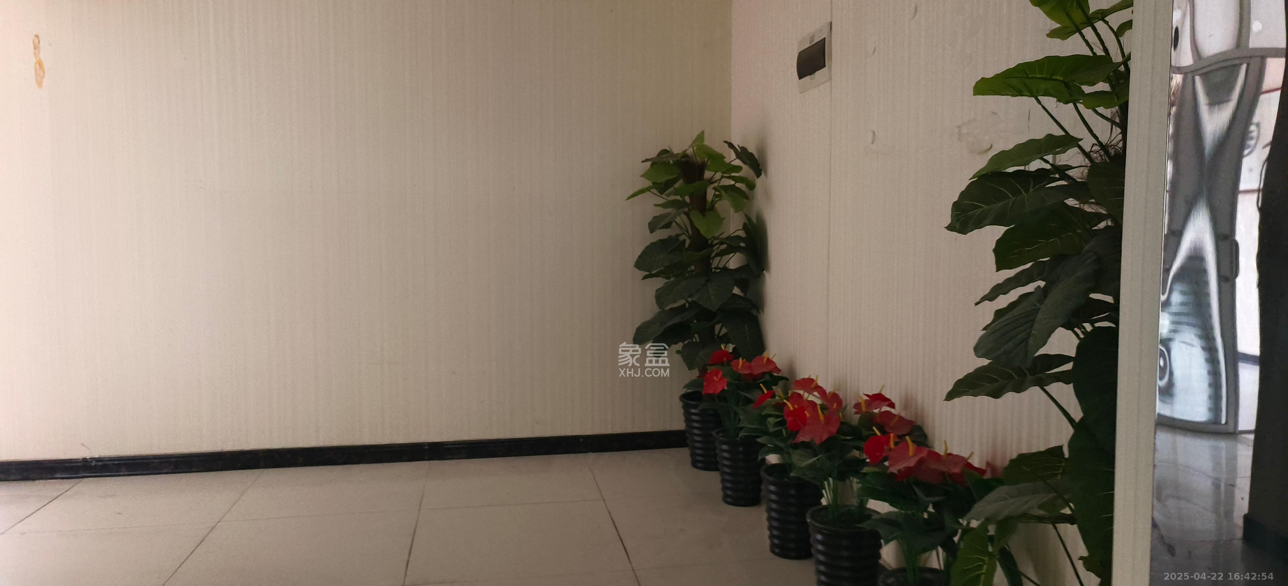 阳光锦城  1室1厅1卫    1600.0元/月 阳光锦城  1室1厅1卫    1600.0元/月室内图