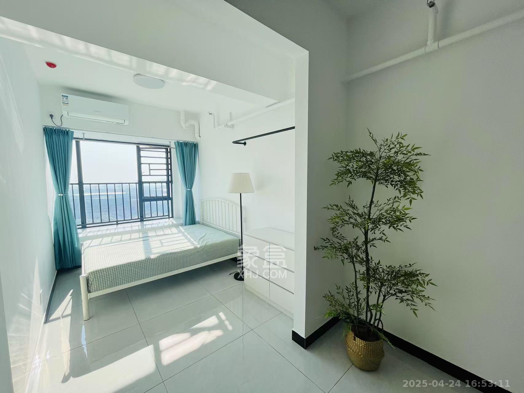 栢丽国际 1室1厅1卫 1600.0元/月 栢丽国际 1室1厅1卫 1600.0元/月室内图