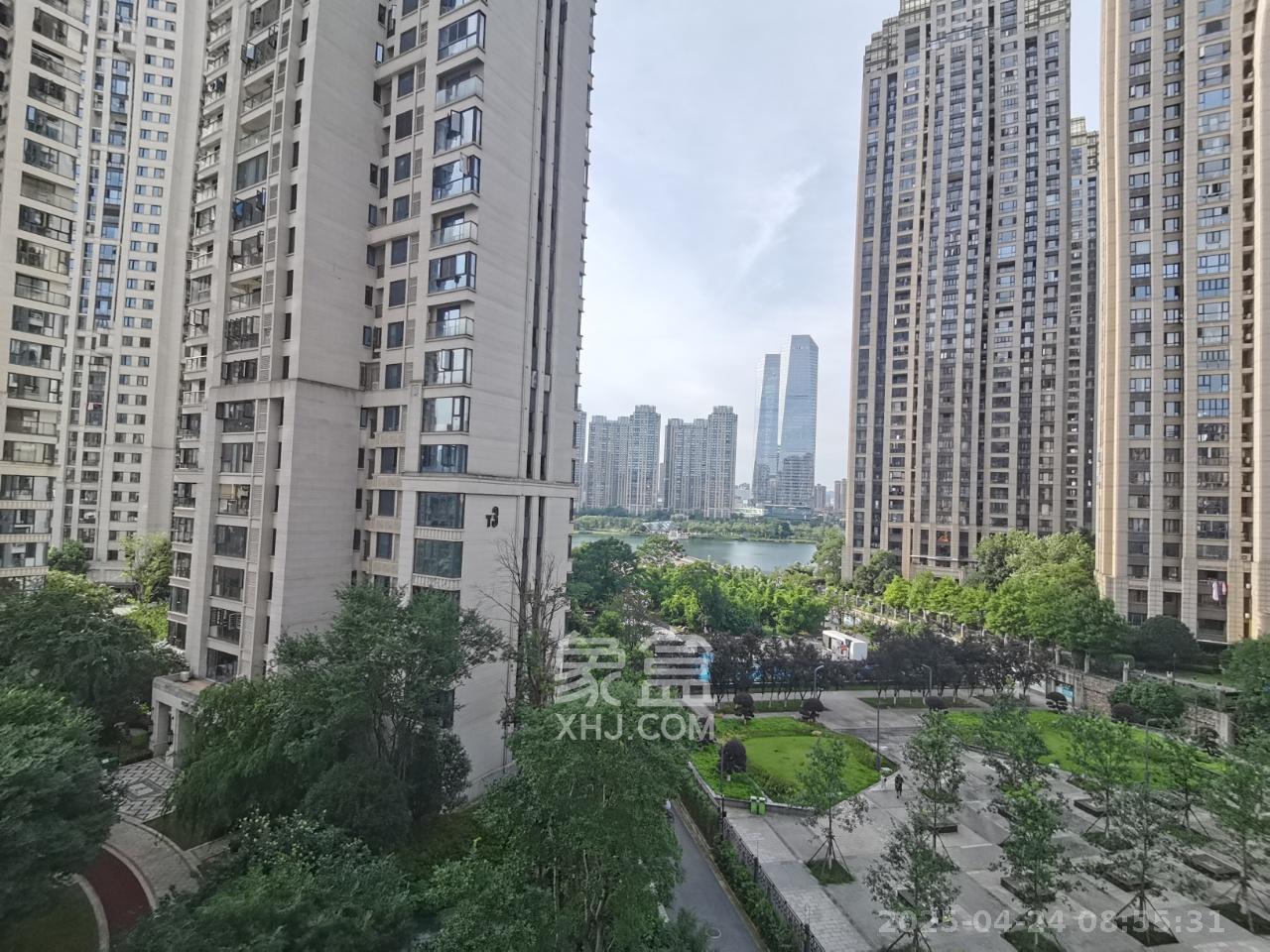 中海梅溪湖壹号  1室1厅1卫   1700.00元/月室内图