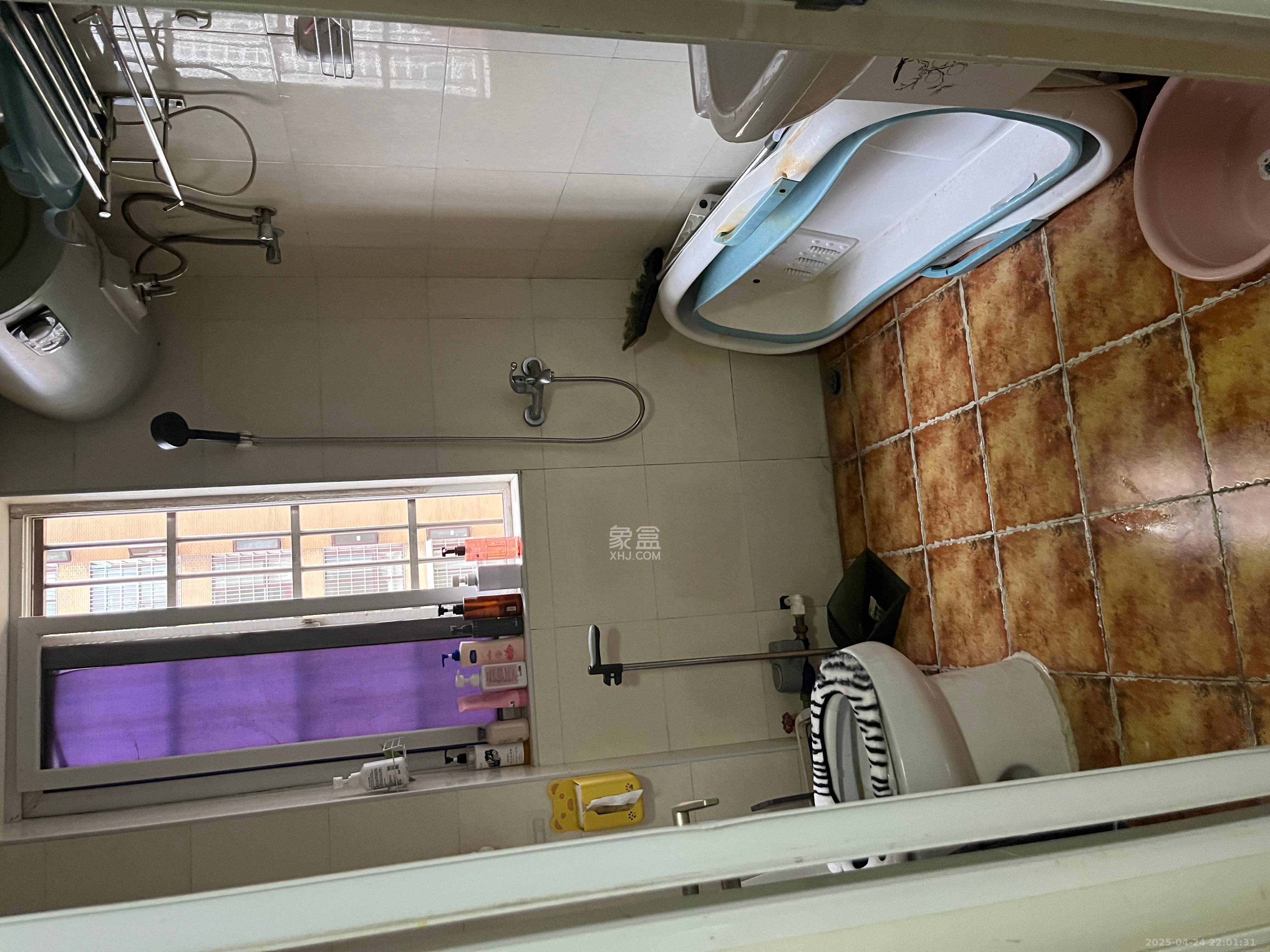 昌和商业中心/昌和国际  1室1厅1卫    950.0元/月 昌和商业中心/昌和国际  1室1厅1卫    950.0元/月室内图