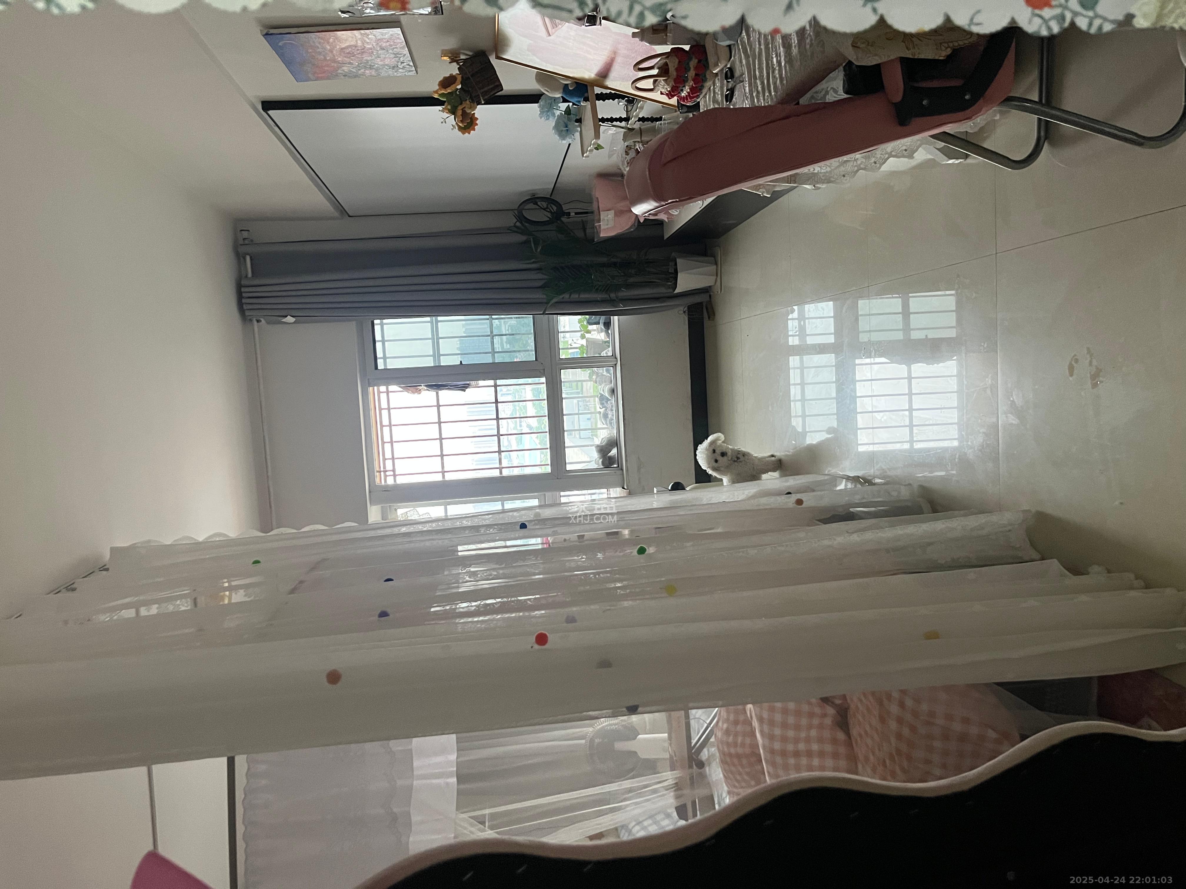 昌和商业中心/昌和国际  1室1厅1卫    950.0元/月 昌和商业中心/昌和国际  1室1厅1卫    950.0元/月室内图