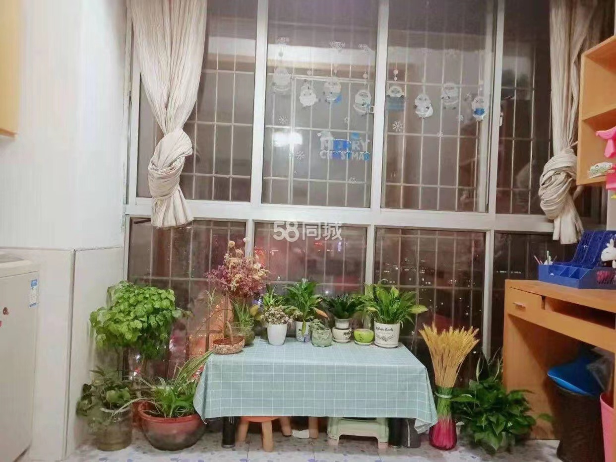 星海名都  2室1厅1卫    1380.0元/月室内图