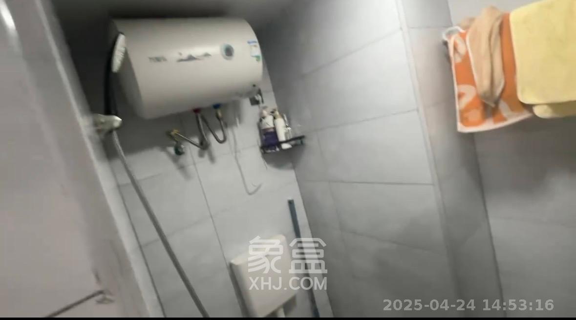 碧桂园印象  1室0厅0卫   1600.00元/月室内图