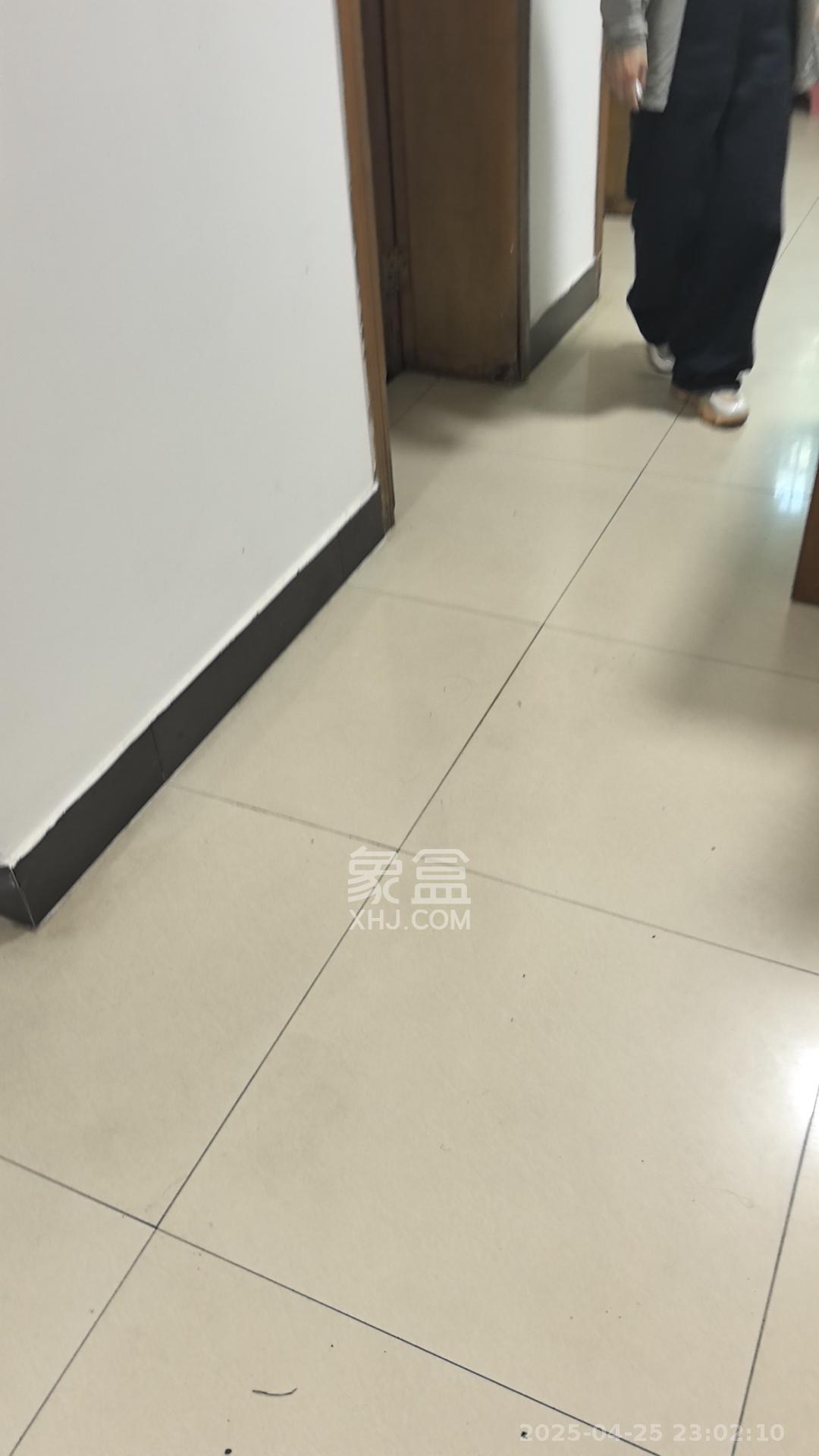 中南汽车世界  2室2厅1卫   1300.00元/月室内图